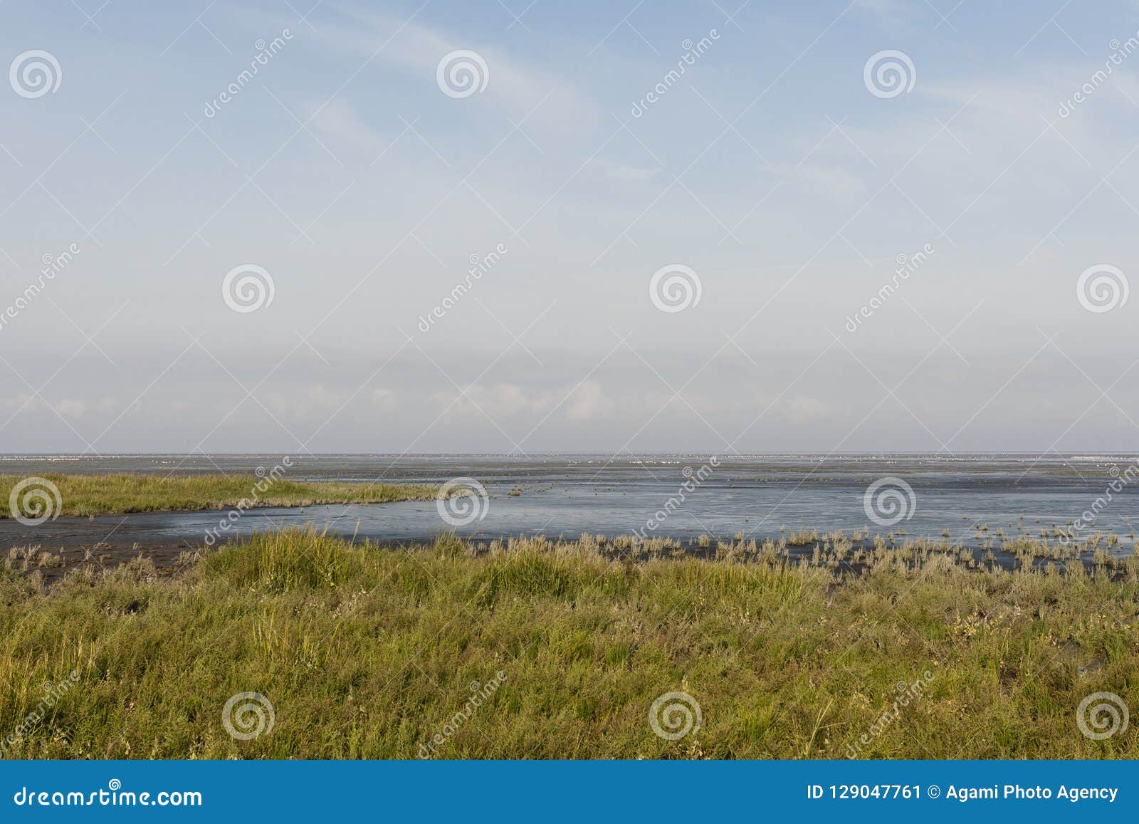kust in westhoek, coast at westhoek
