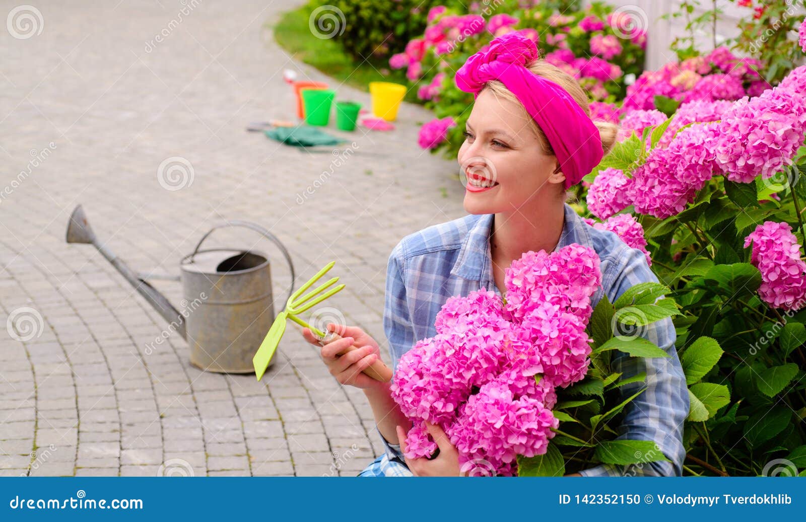 Kvinnaomsorg av blommor i trädgård hydrangea Vår och sommar lycklig kvinnaträdgårdsmästare med blommor Växthusblommor Omsorg och bevattna för blomma jorder och gödningsmedel Riktig professionell