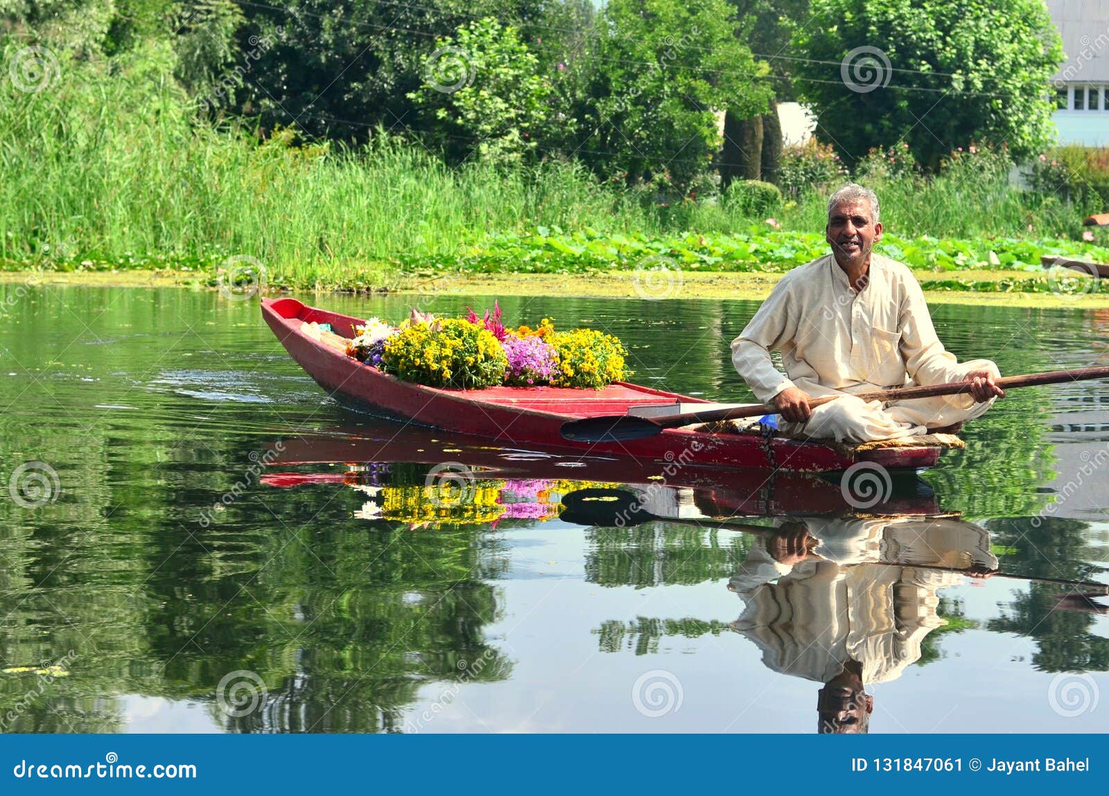 Kwitnie sprzedawcy na shikara w Srinagar, Kaszmir, India. Kwitnie sprzedawcy na shikara na sposobie od Nigeen jeziora Dal jezioro przez Shikara, Srinagar, Jammu & Kaszmir Około 2018, Dal jezioro wymienia «klejnot w koronie Kaszmir «lub «Srinagar klejnot «