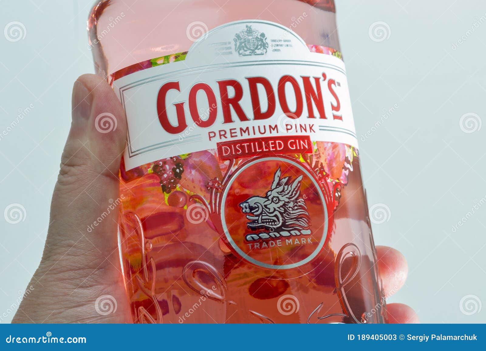 Gordons Premium Pink Gin Bottle in Human Hand Closeup Editorial Stock ...