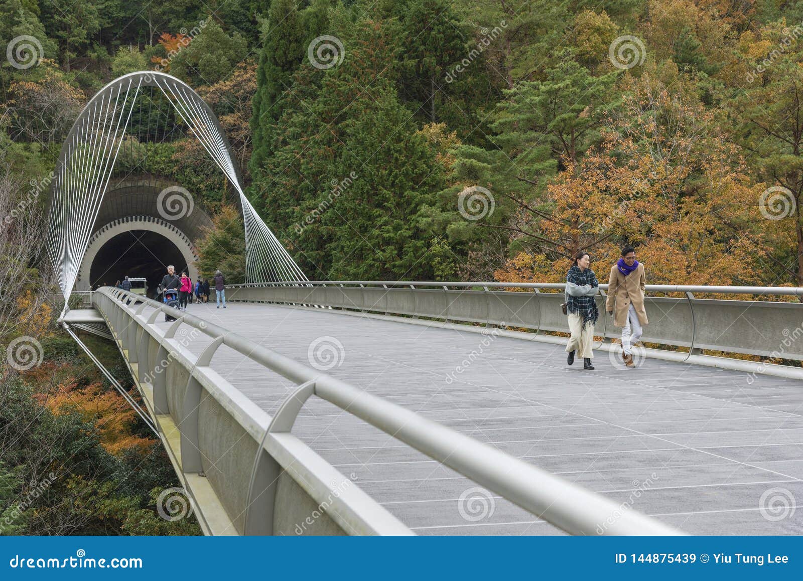 Miho Museum - Into Japan