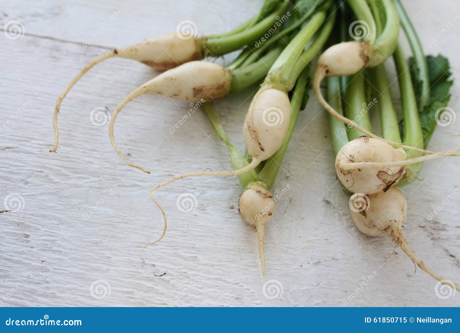 Legumes De Navet De Bebe Image Stock Image Du Nourriture Legumes De Navet De Bebe Image Stock Image Du Nourriture