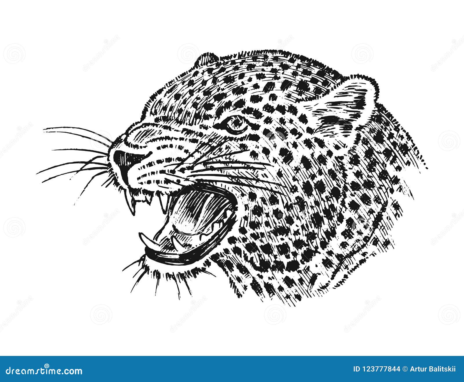 Leopard Sauvage Japonais Chat D Asiatique De Portrait Profil De Tete Ou De Visage Illustration De Tatouage Grave Tire Par La Main Illustration De Vecteur Illustration Du Retrait Noir