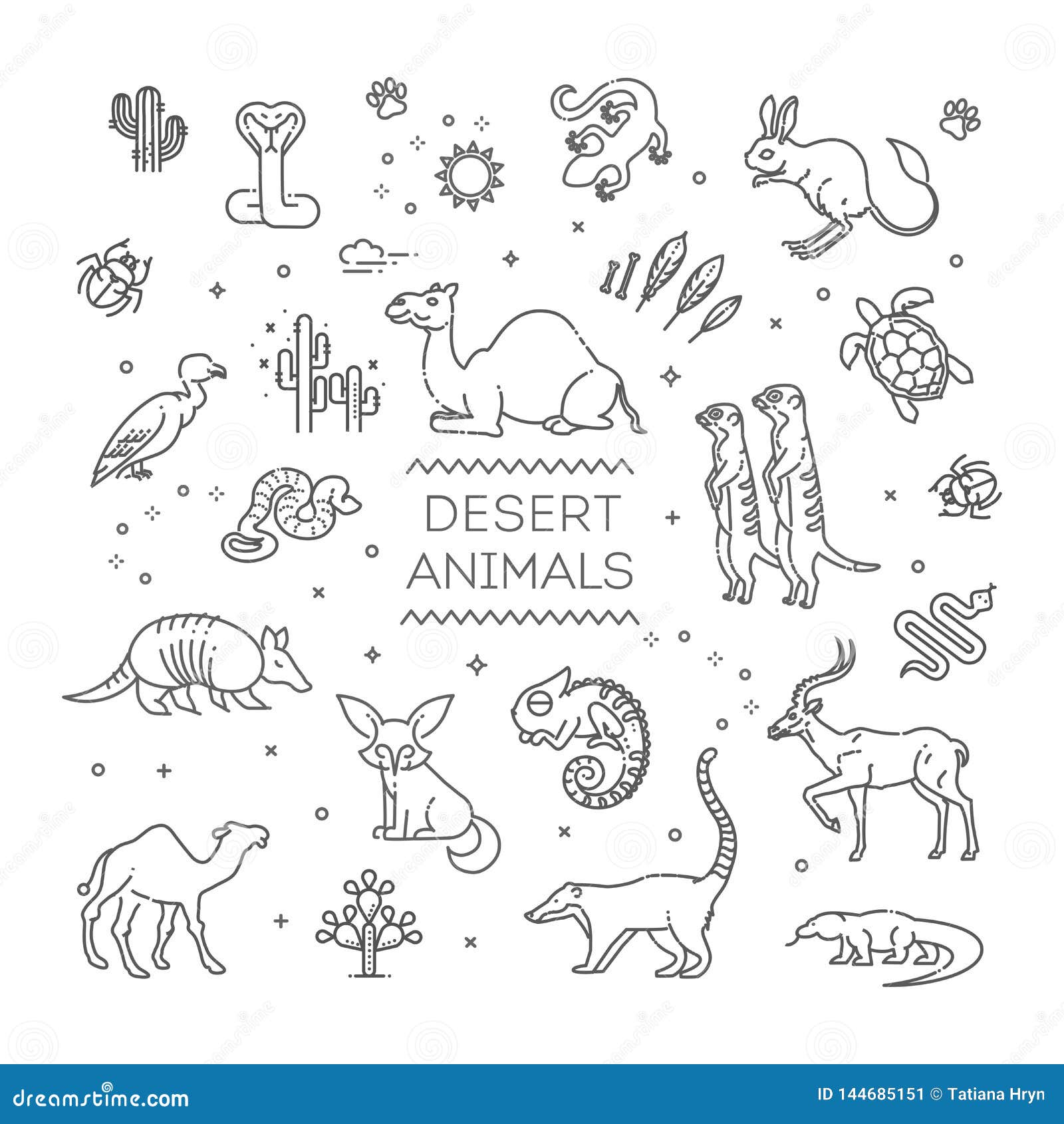Línea Concepto De La Fauna Con Diversos Animales Del Desierto Vector  Ilustración del Vector - Ilustración de lineal, tortuga: 144685151