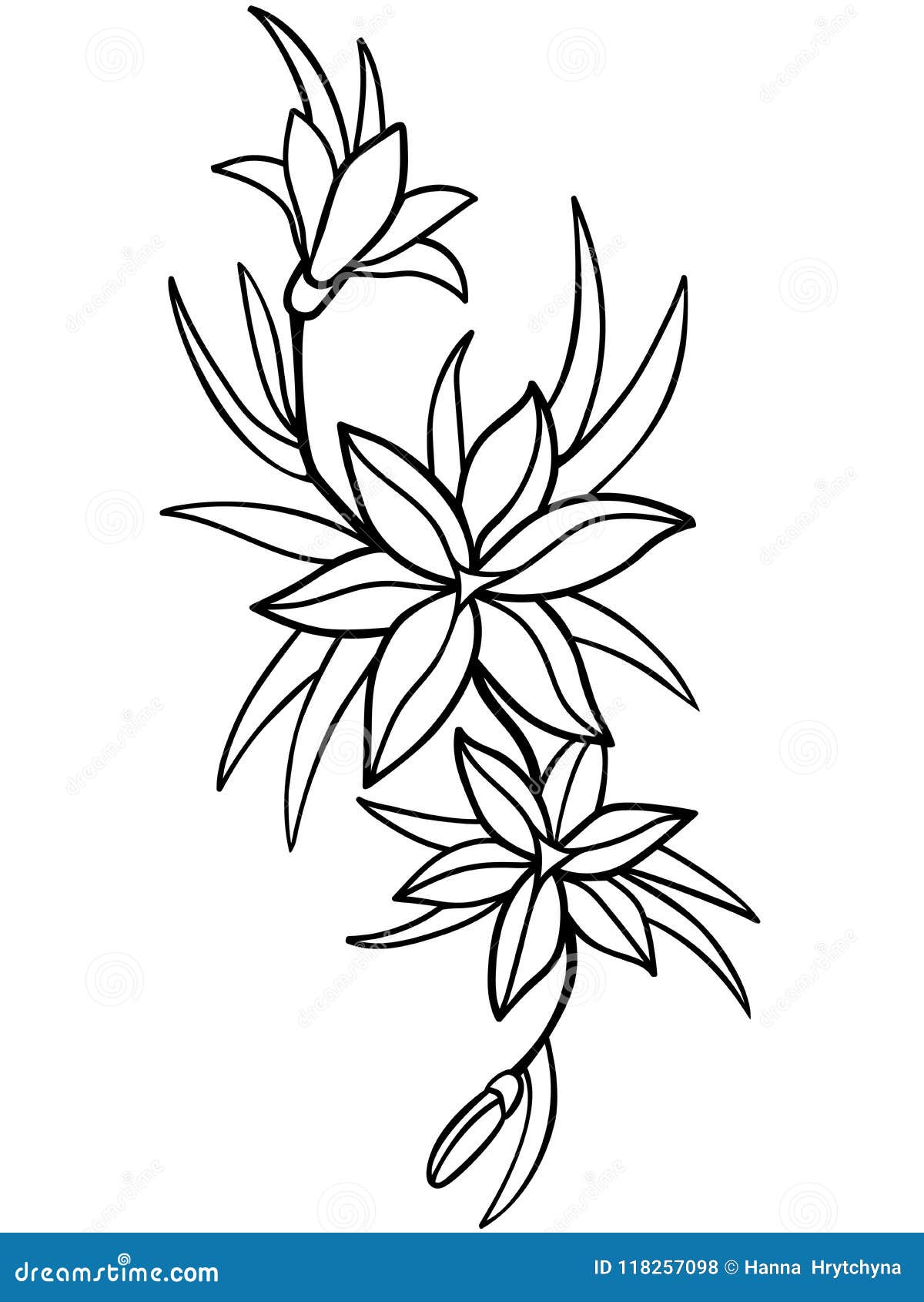 Desenhos para colorir gratuitos de Flores e vegetação para imprimir -  Flores e vegetação - Coloring Pages for Adults