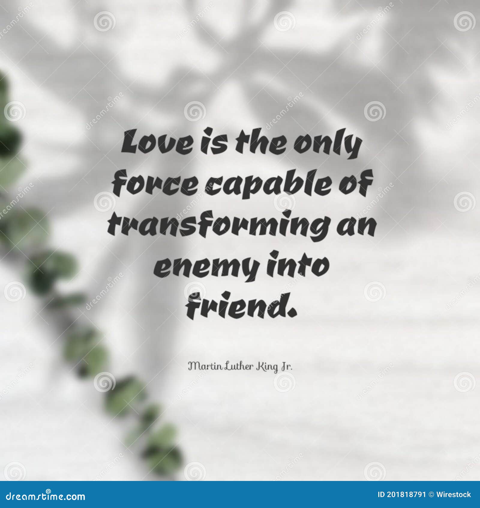 L Amour De Citation Est La Seule Force Capable De Transformer Un Ennemi En Ami Image Stock Image Du Unite Obliger