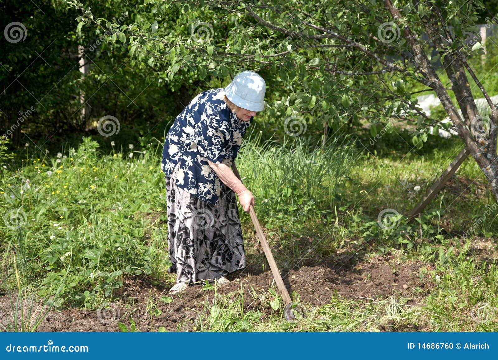 Какой сад был у старушки. Бабушка с тяпкой. Бабка с тяпкой на огороде. Бабка с мотыгой. Бабушка в огороде.