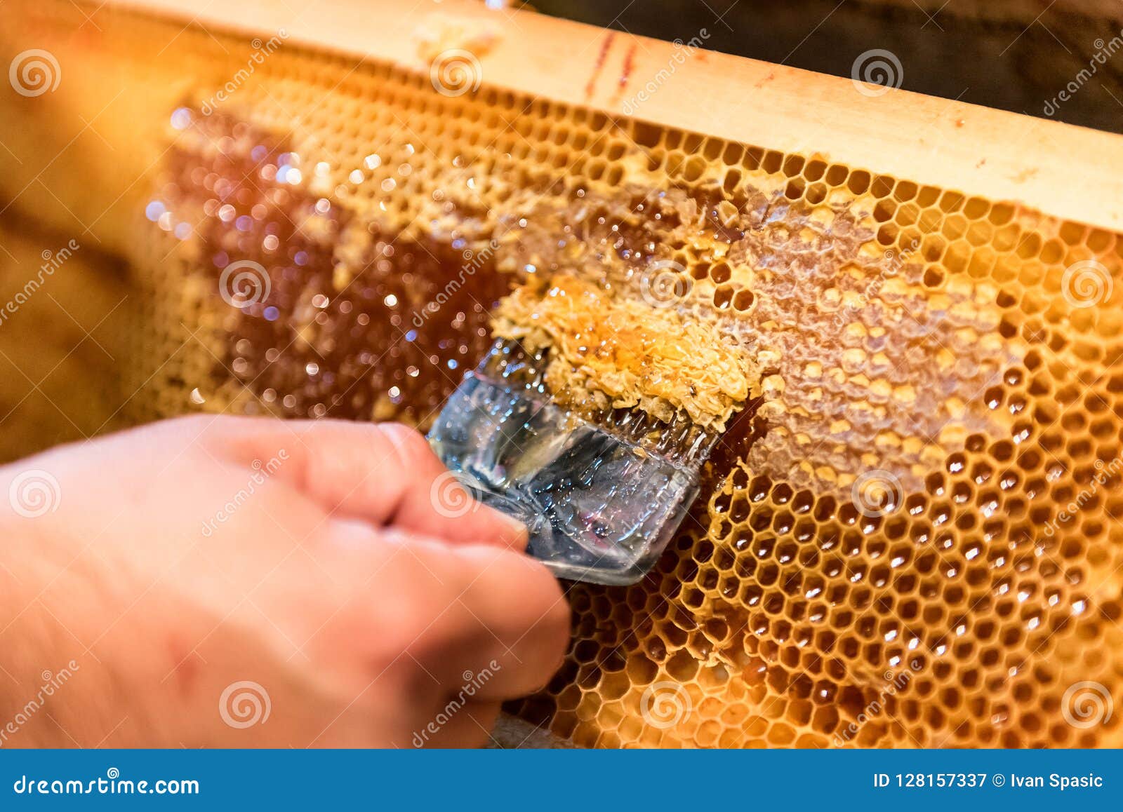 1000pcs abeille cadre en laiton nid d\'abeilles oeillets apiculteurs outils 