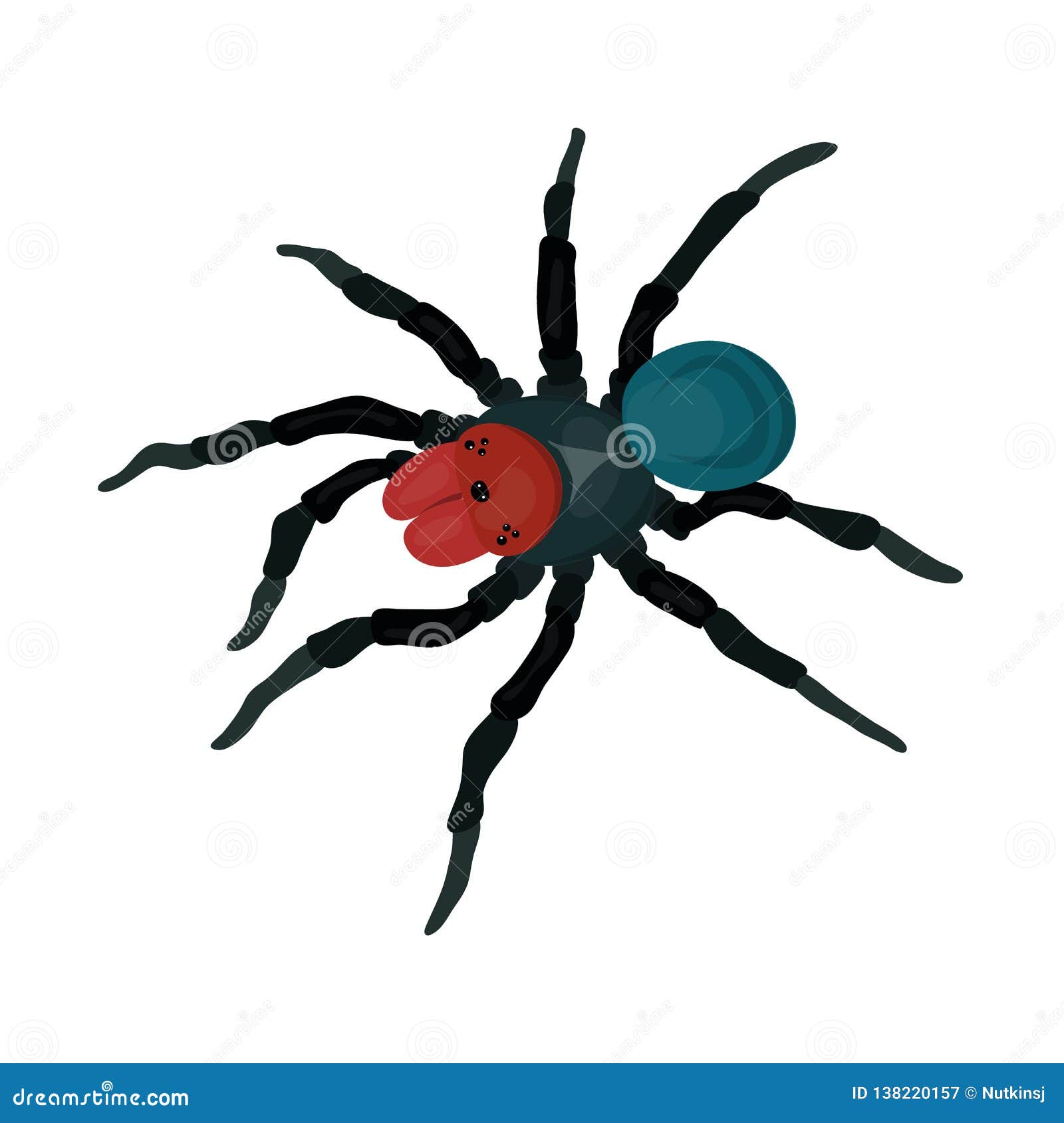 L Araignee A Tete Rouge De Souris A Isole Illustration De Vecteur Illustration Du Entomologie Science L Araignee A Tete Rouge De Souris A Isole Illustration De Vecteur Illustration Du Entomologie Science