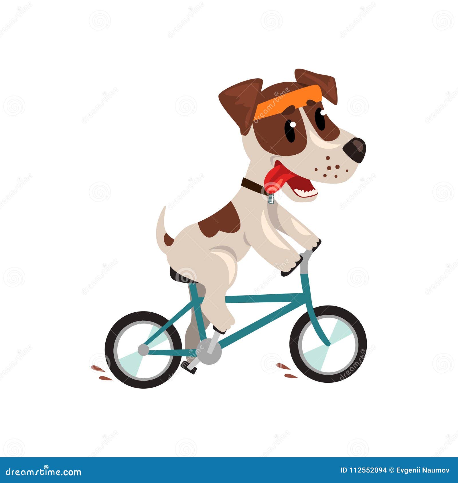 Téléchargement gratuit Images L Athlete Mignon De Terrier De Russell De Cric Montant Un Velo actualisé par