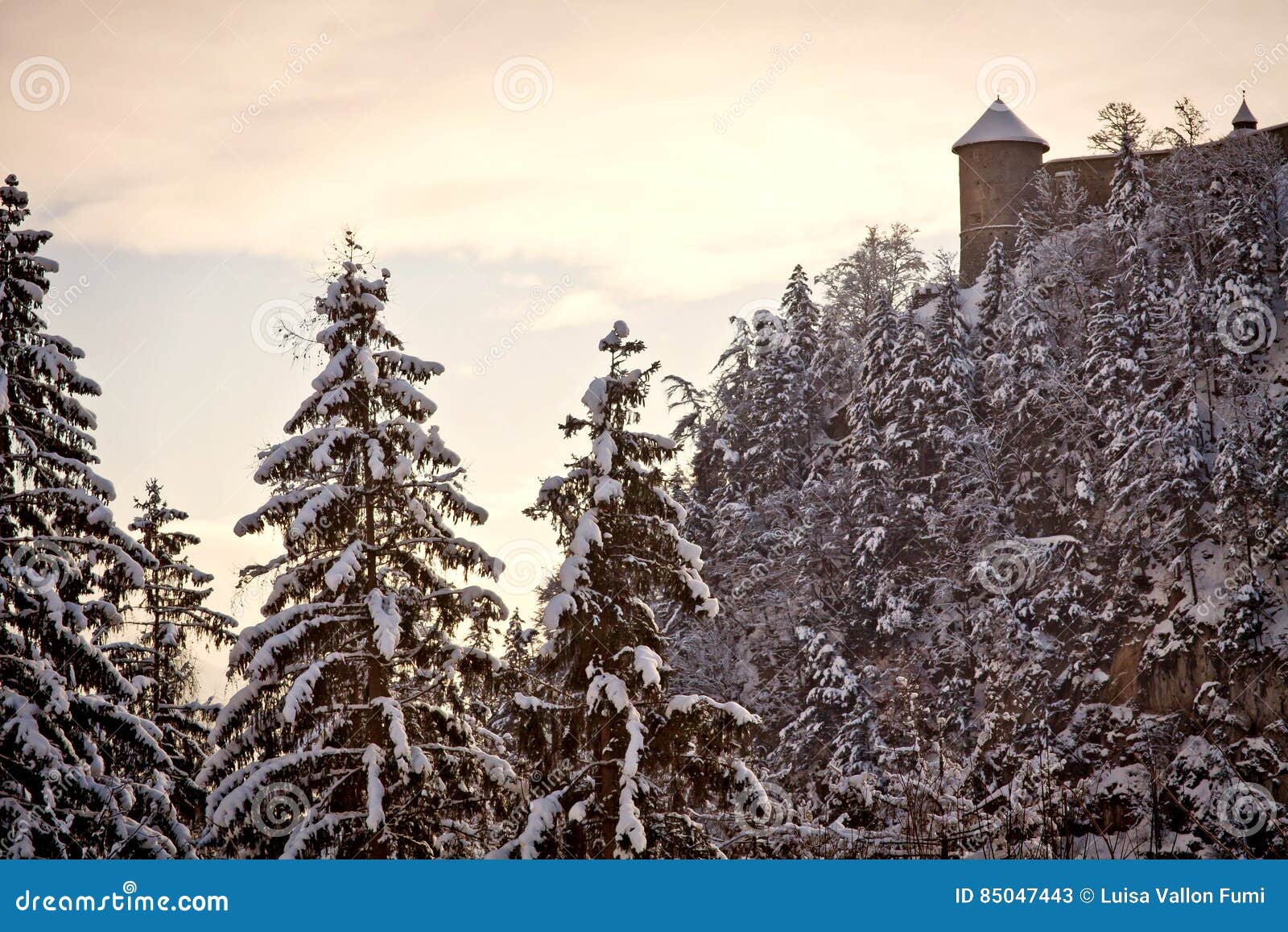 L'Austria, lanscape di inverno al tramonto con neve e Hohenwerfen Ca. L'Austria, paesaggio austriaco di inverno delle alpi al tramonto con la vista delle pareti del castello di Hohenwerfen, fortezza medievale sulla cima od una collina costruita XI nel secolo