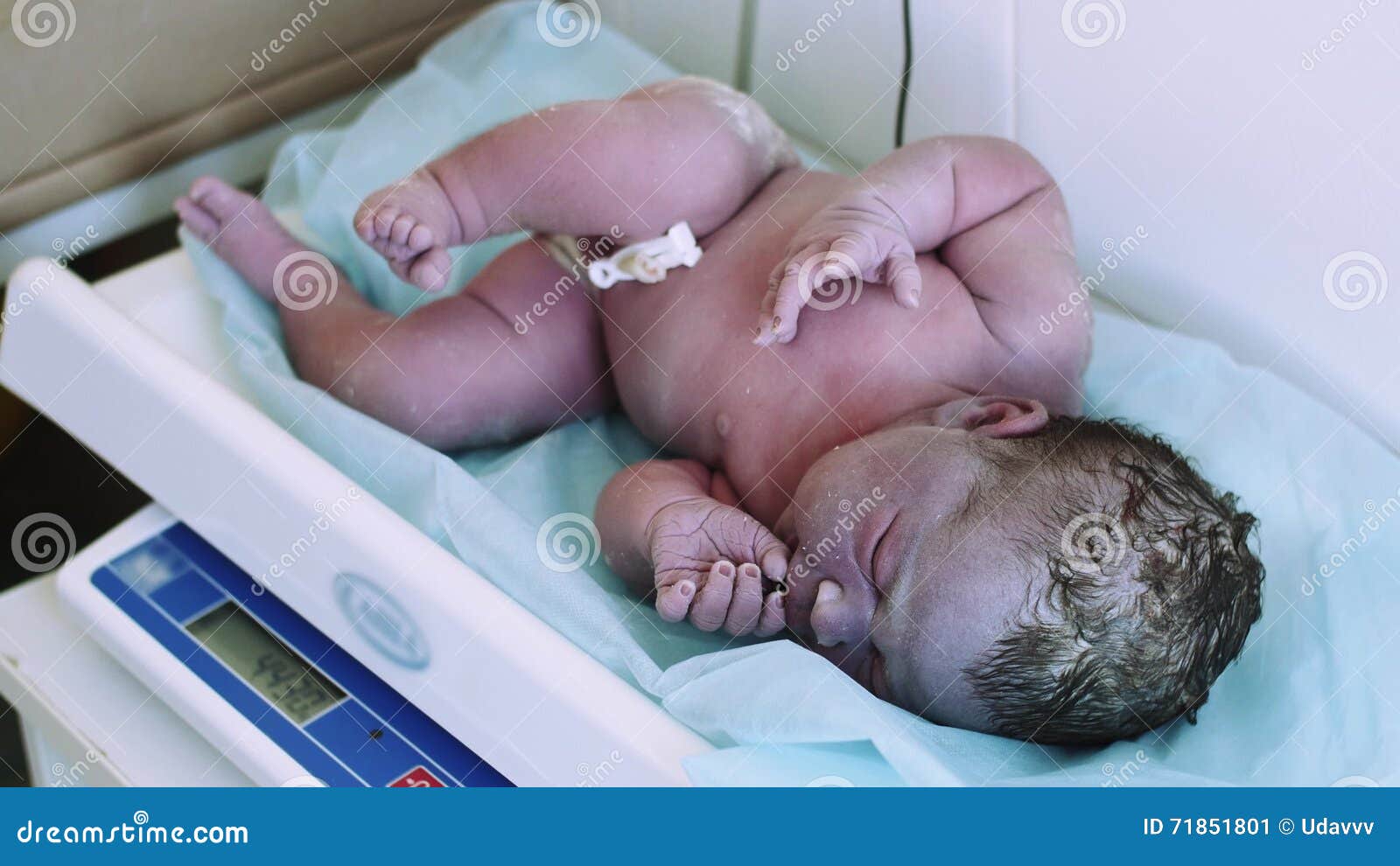 L Infirmiere Dans Les Gants Pesent Le Petit Bebe Nouveau Ne Sur Des Echelles Dans L Hopital De Maternite Apres Naissance Clinique Clips Videos Video Du Douleur Enceinte L Infirmiere Dans Les Gants Pesent Le Petit Bebe Nouveau Ne Sur Des Echelles Dans L Hopital De Maternite Apres Naissance Clinique Clips Videos Video Du Douleur Enceinte
