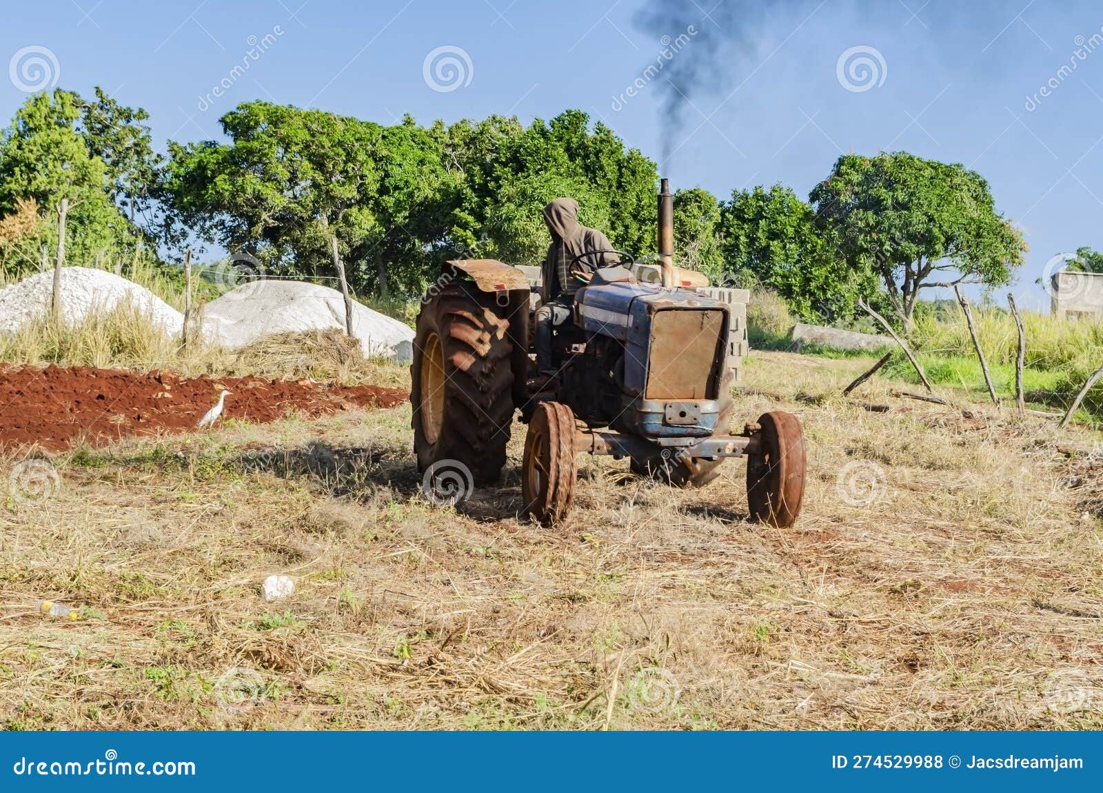 L'opérateur Du Tracteur S'inverse Pour Continuer Le Labourage Photo stock -  Image du oiseau, herbe: 274529988