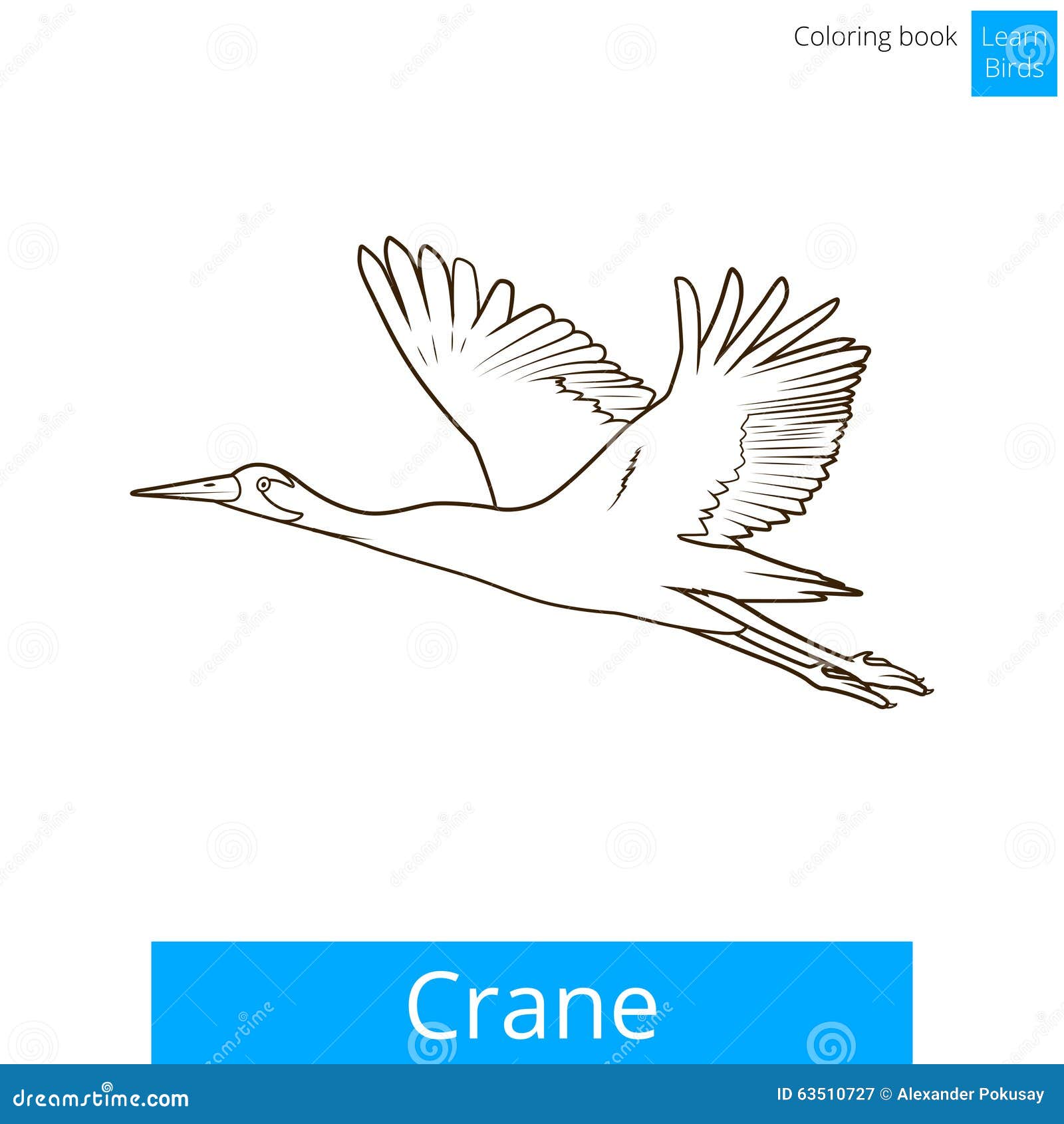 L uccello della gru impara il vettore del libro da colorare degli uccelli