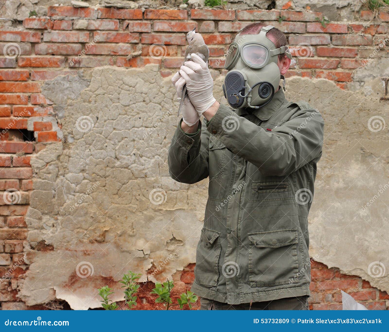 L'uomo Con La Maschera Antigas Ed I Vestiti Militari Esplora L'uccello  Morto Immagine Stock - Immagine di uomo, distruzione: 53732809