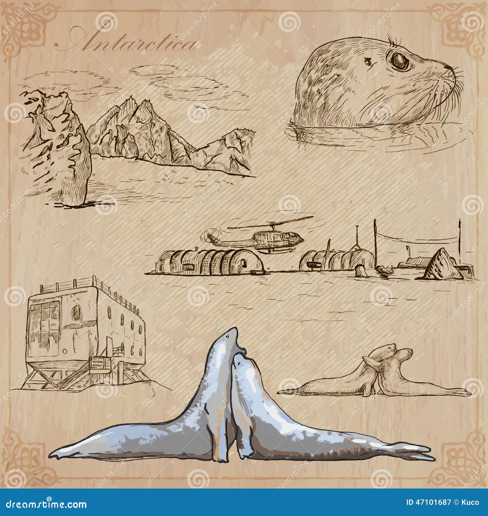 La Antártida: Viaje En Todo El Mundo Dibujos Del Vector Ilustración del Vector - Ilustración de nieve, cubo: 47101687