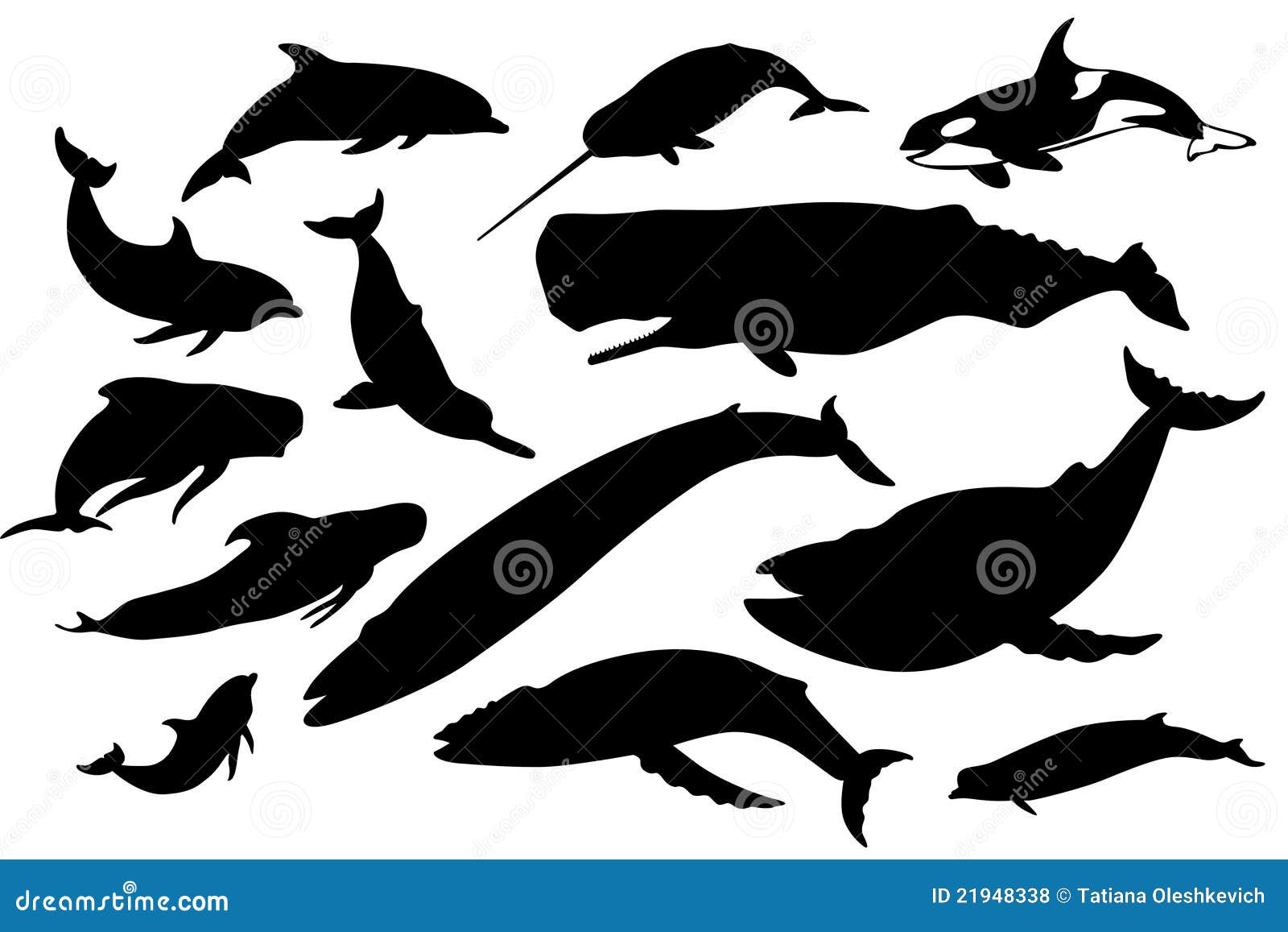 La ballena y los delfínes fijaron. Las siluetas blancos y negros de la ballena y de los delfínes fijaron