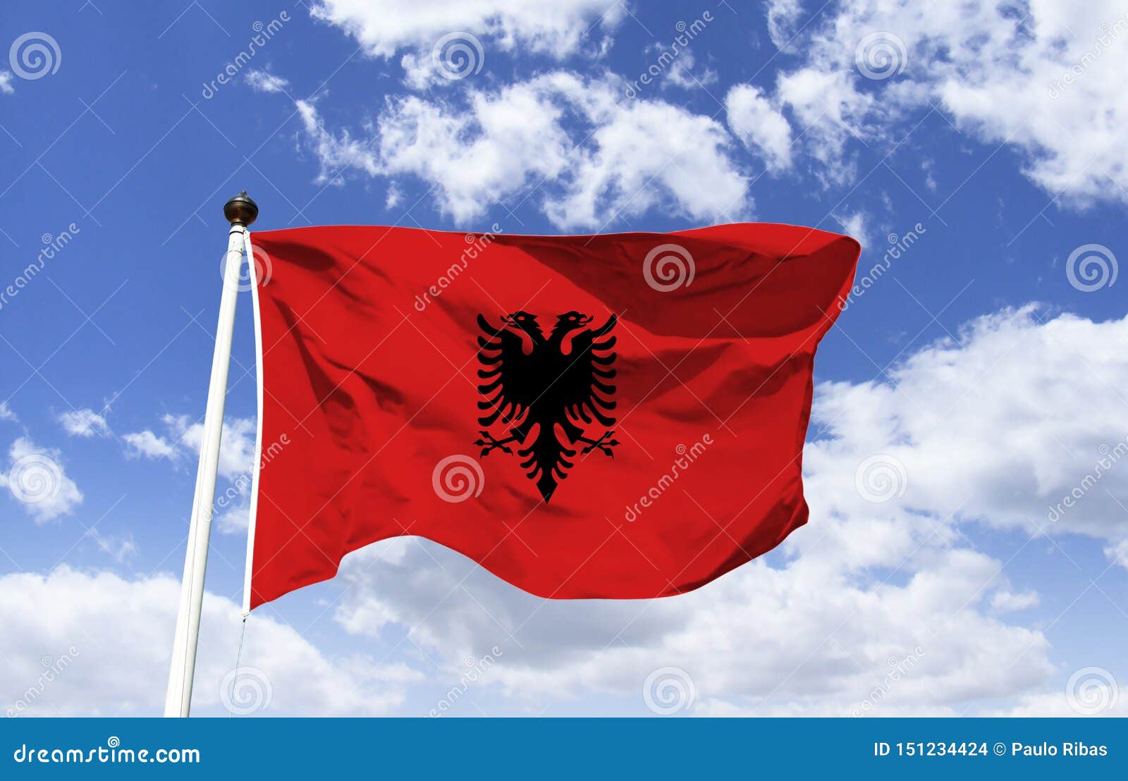 La Bandera Nacional De Albania, águila Negra Dos-dirigida Foto de archivo -  Imagen de fondo, asta: 151234424