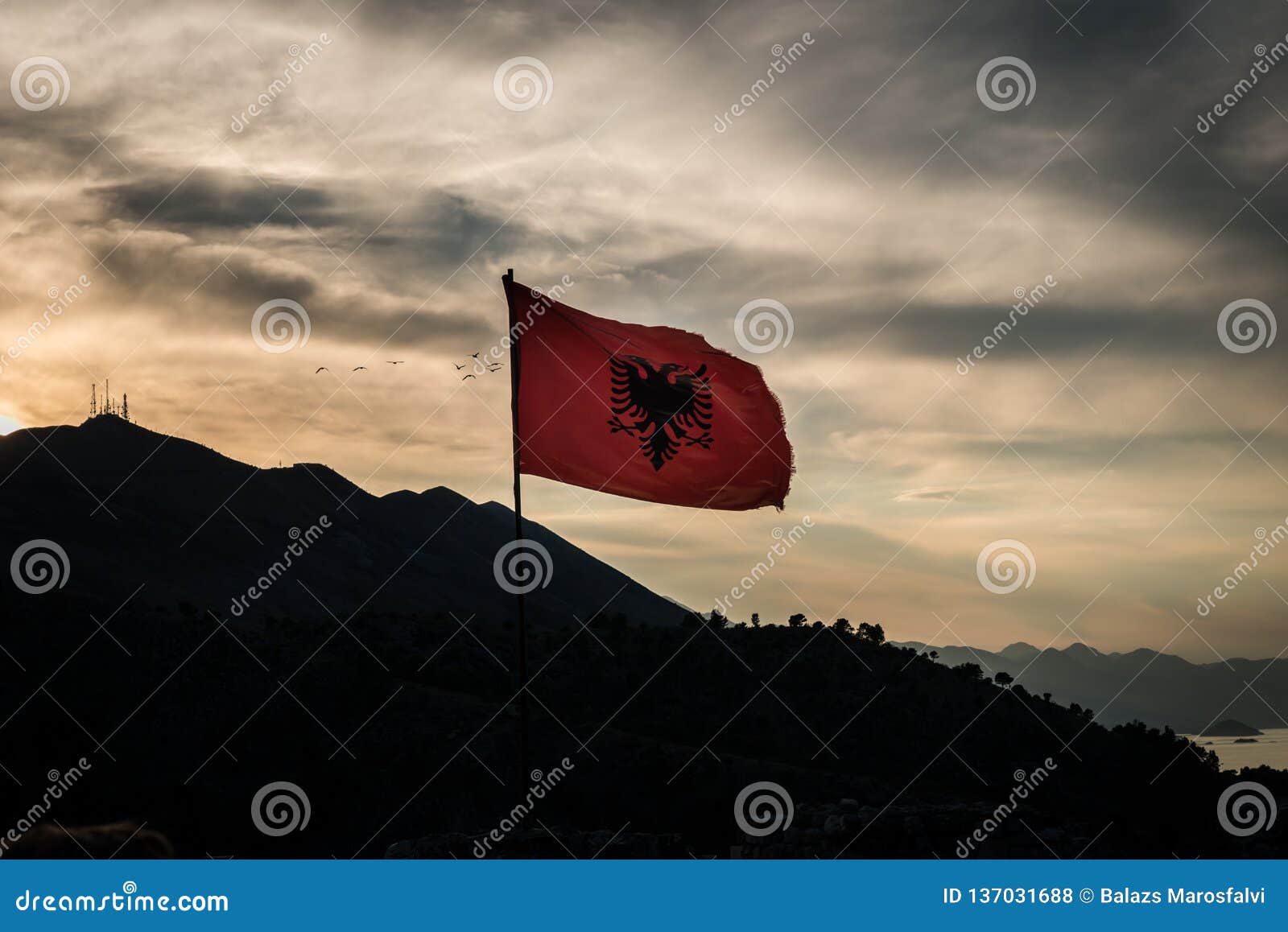 La Bandiera Albanese Nel Tramonto Fotografia Stock - Immagine di lucido,  albanese: 137031688
