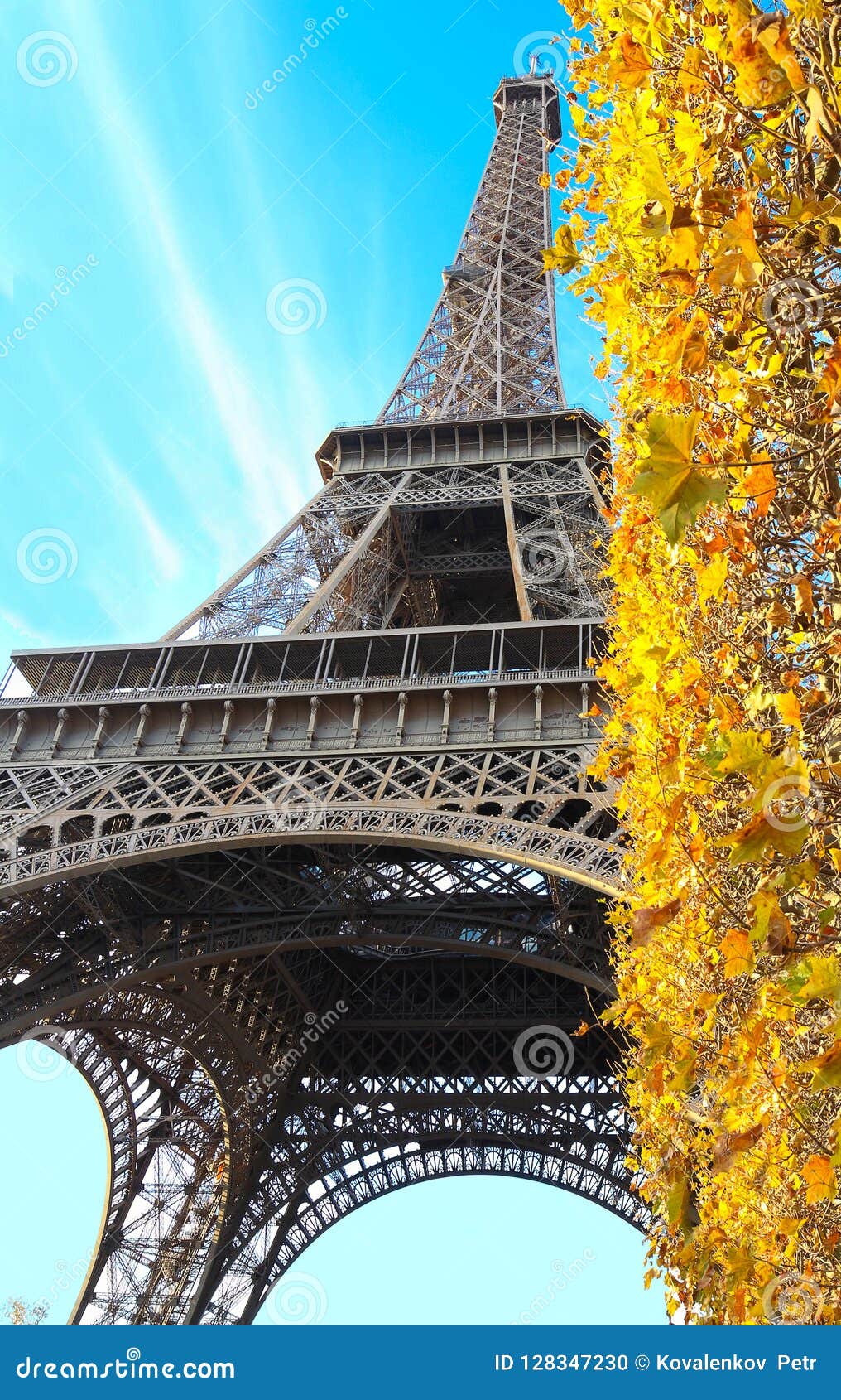 Tour Eiffel feuilles d'érable Coucher de Soleil Décor Toile de Fond M6 –
