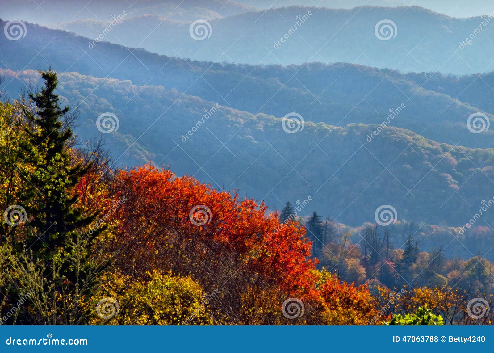 La caduta trascura in Great Smoky Mountains. Great Smoky Mountains nei colori di caduta