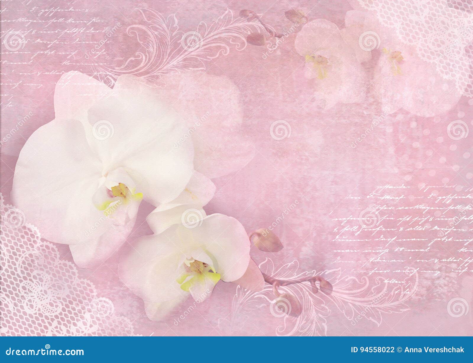 La Carte Avec L Orchidee Fleurit Sur Un Fond Rose Clair Calibre D Une Invitation D Un Mariage D Un Anniversaire D Un Anniversa Illustration Stock Illustration Du Rose Clair La Carte Avec L Orchidee Fleurit Sur Un Fond Rose Clair Calibre D Une Invitation D Un Mariage D Un Anniversaire D Un Anniversa Illustration Stock Illustration Du Rose Clair