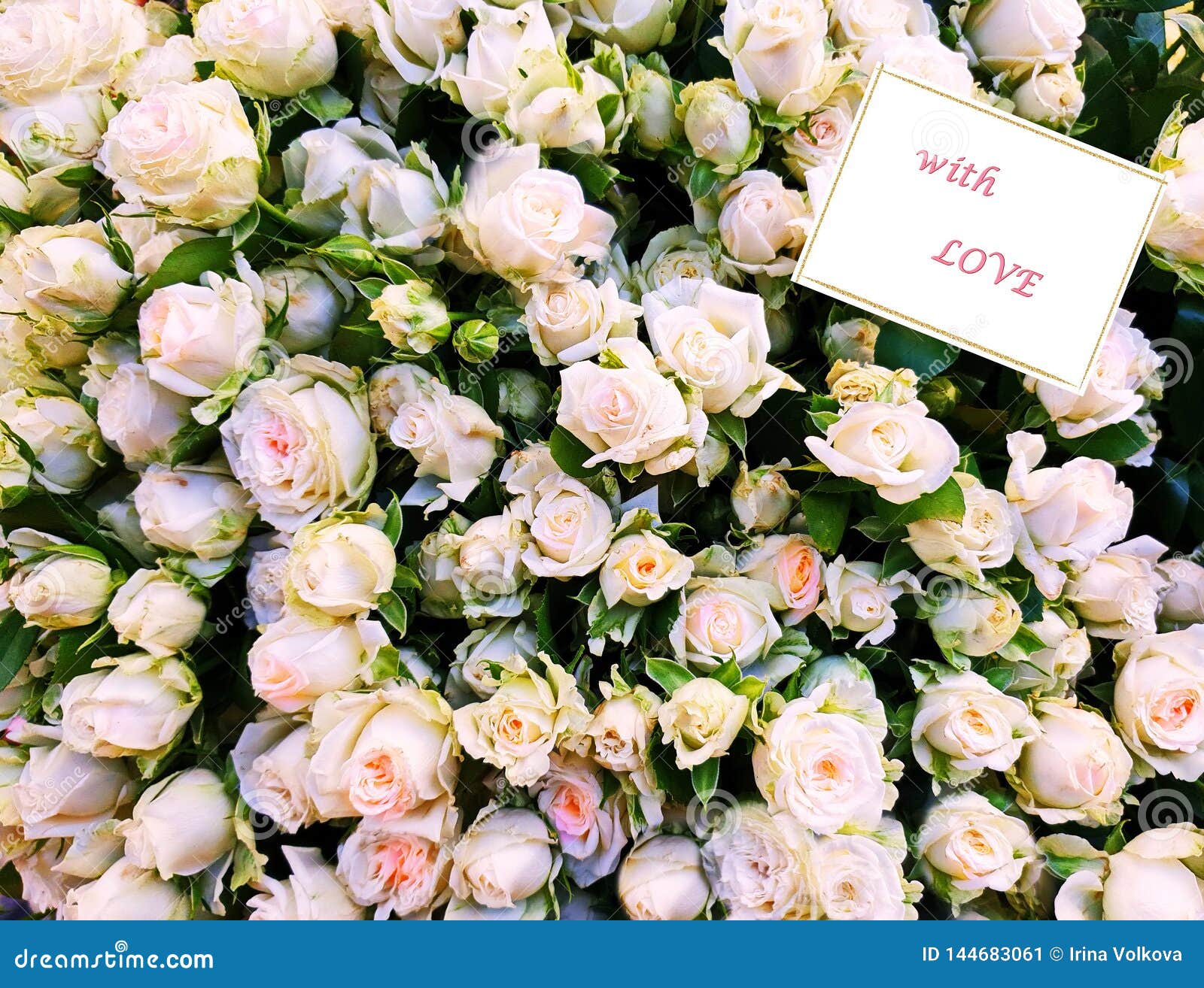 La Carte De Voeux Chic De Bouquet De Roses Blanches Pour Des Salutations D Anniversaire De Valentine De Jour De Femmes Aiment Des Image Stock Image Du Ville Salutations