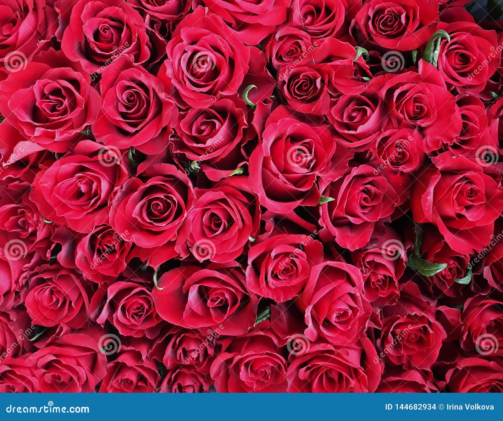 La Carte De Voeux Chic De Bouquet De Roses Rouges Pour Des Salutations D Anniversaire De Valentine De Jour De Femmes Aiment Des C Photo Stock Image Du Rouge Roses