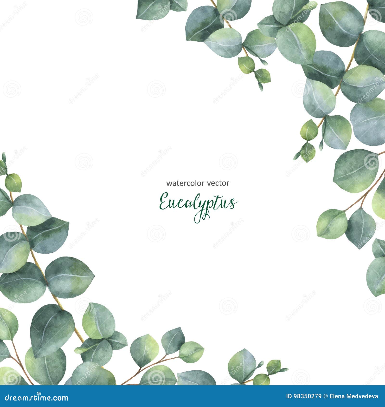 Carte blanche vierge et enveloppe avec feuilles d'eucalyptus. Invitation  vierge . image libre de droit par InkDropCreative © #333770528