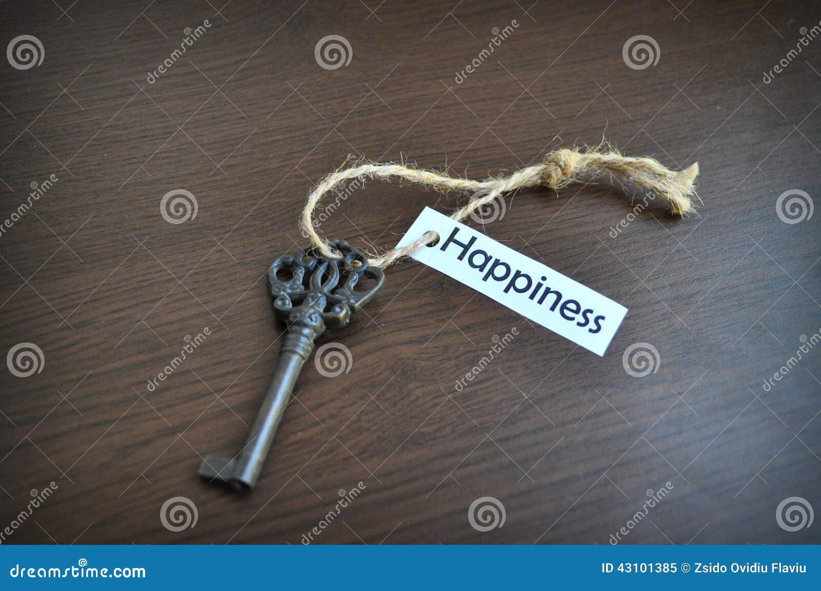 La Cle Au Bonheur Image Stock Image Du Choix Bonheur