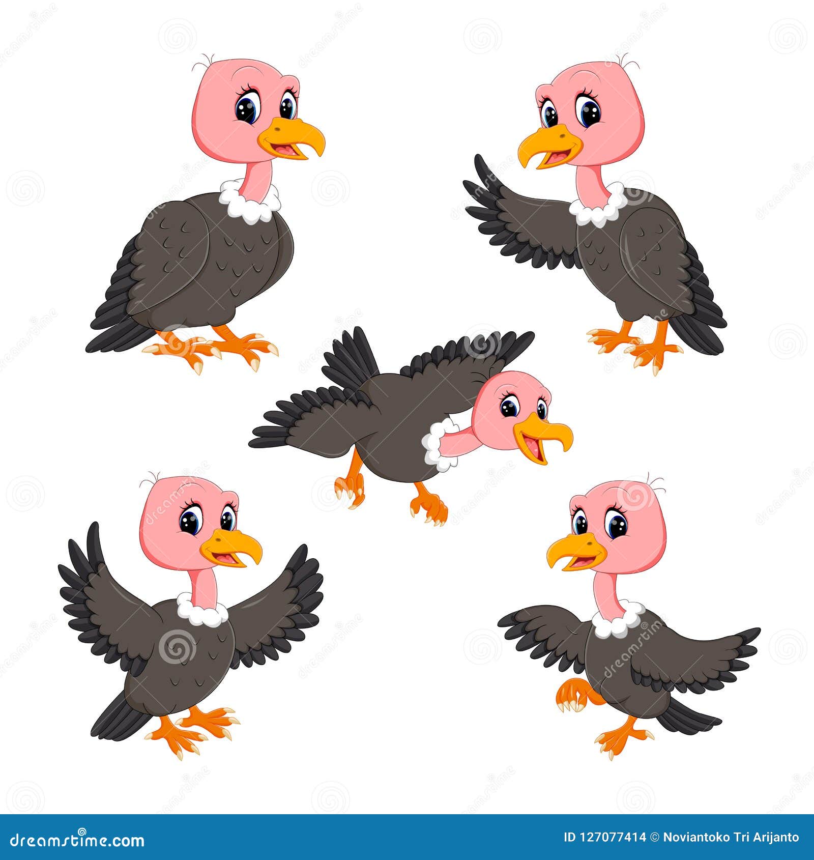 La Collection Du Vautour Mignon De Bebe Dans La Pose Differente Illustration De Vecteur Illustration Du Different Nature