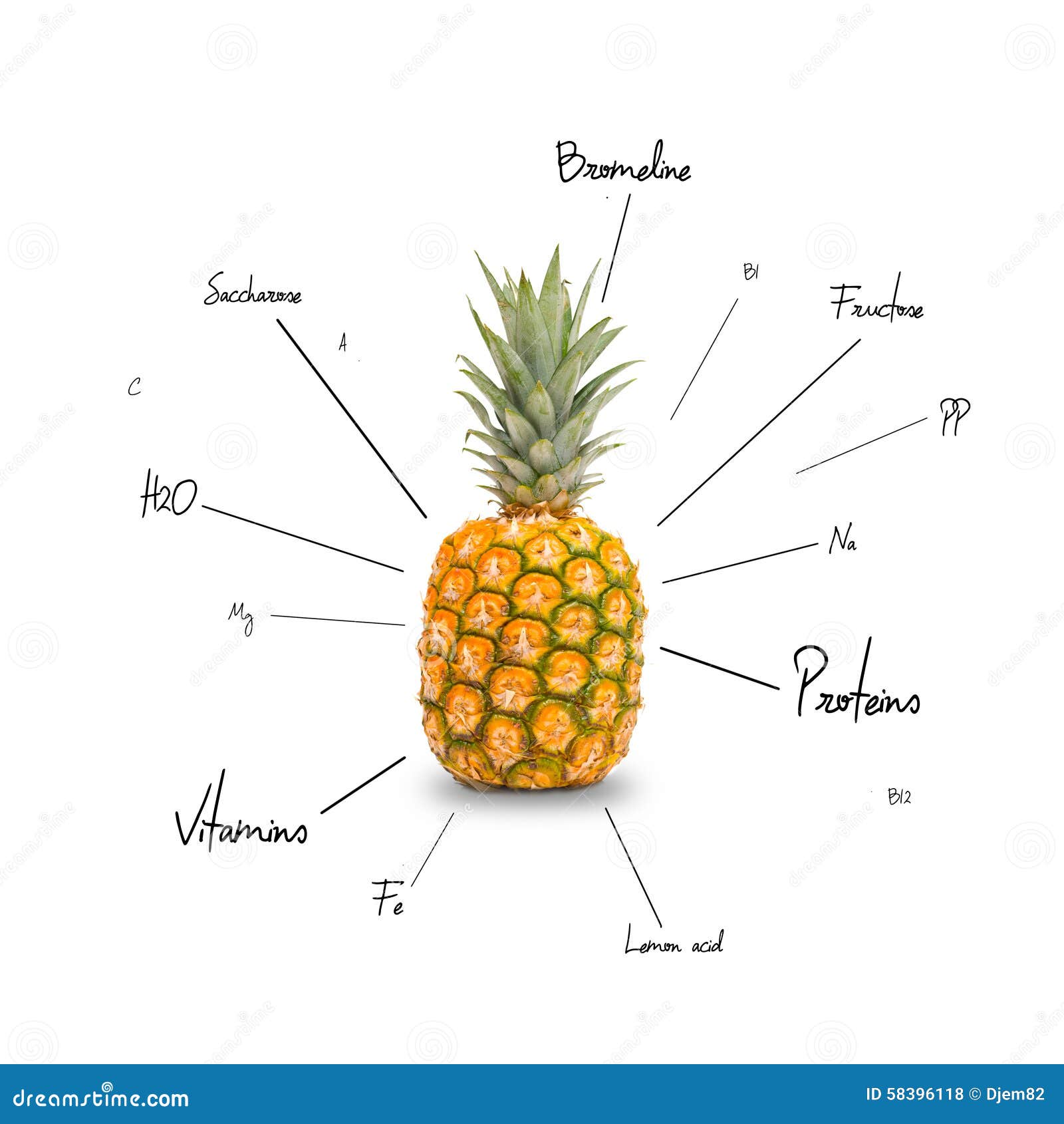La Composition Chimique De L'ananas Illustration Stock Illustration