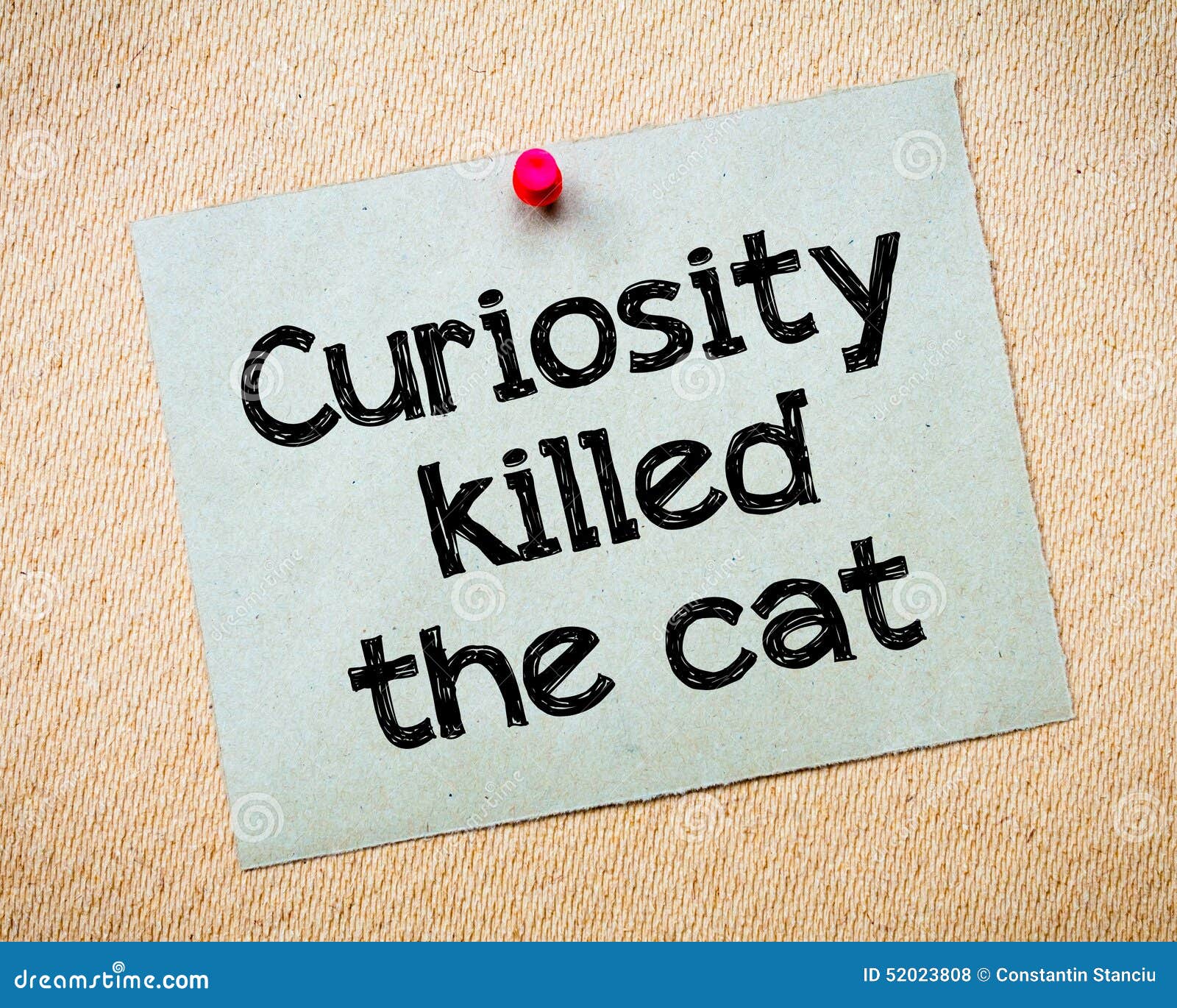 La Curiosite Est Un Vilain Defaut Photo Stock Image Du Idiome Curieux