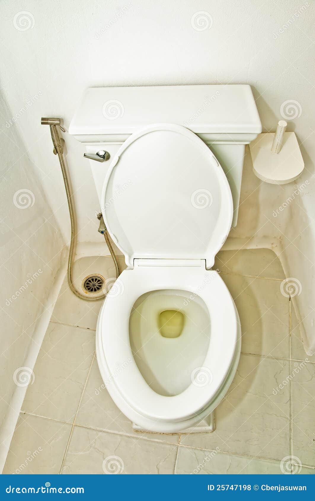 La Cuvette De Toilette Sanitaire Photo stock Image du récipient