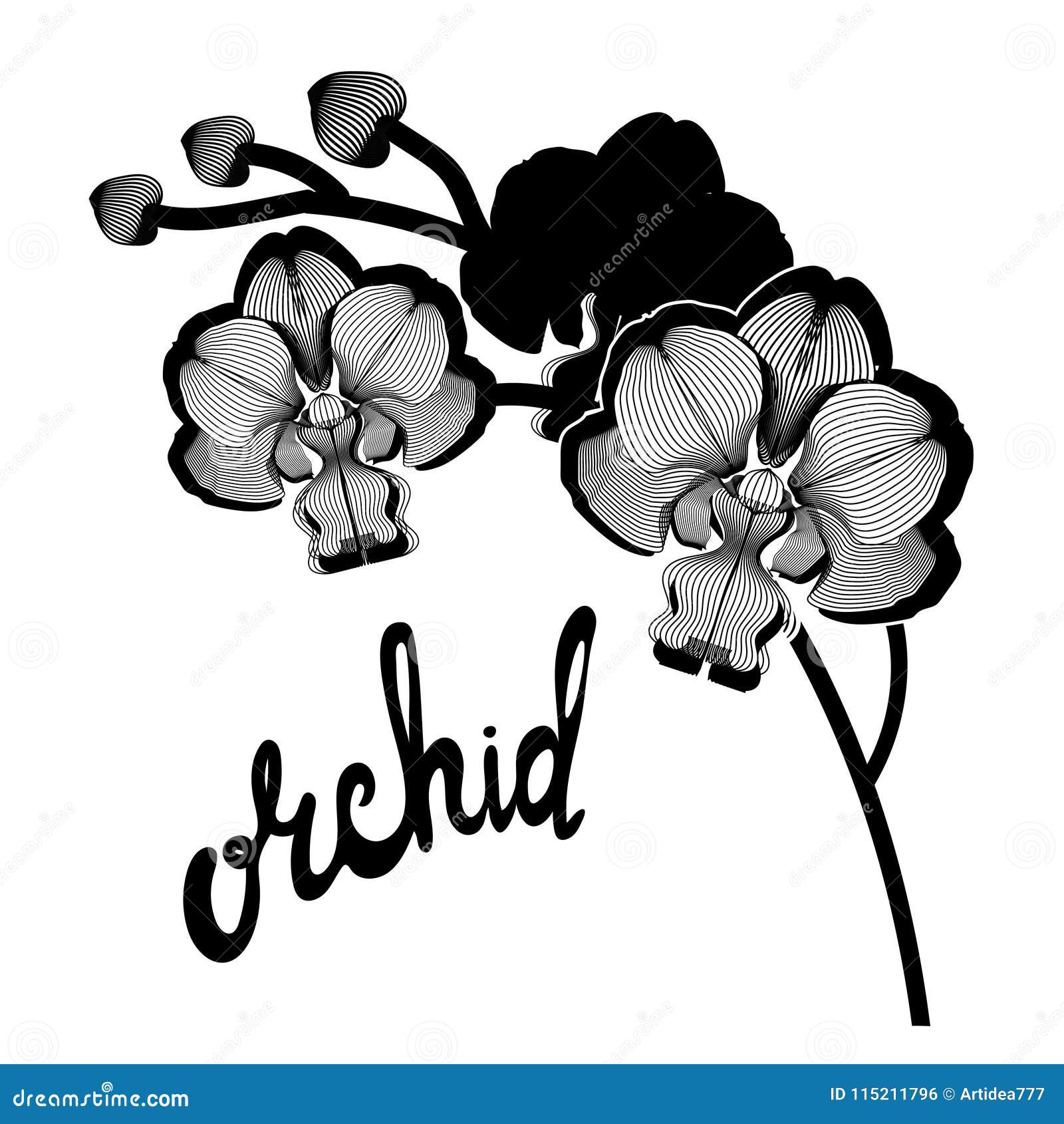 La Decoupe Noire S Embranche Des Fleurs D Orchidee Illustration De Vecteur Illustration Du Decoration Fleurs La Decoupe Noire S Embranche Des Fleurs D Orchidee Illustration De Vecteur Illustration Du Decoration Fleurs