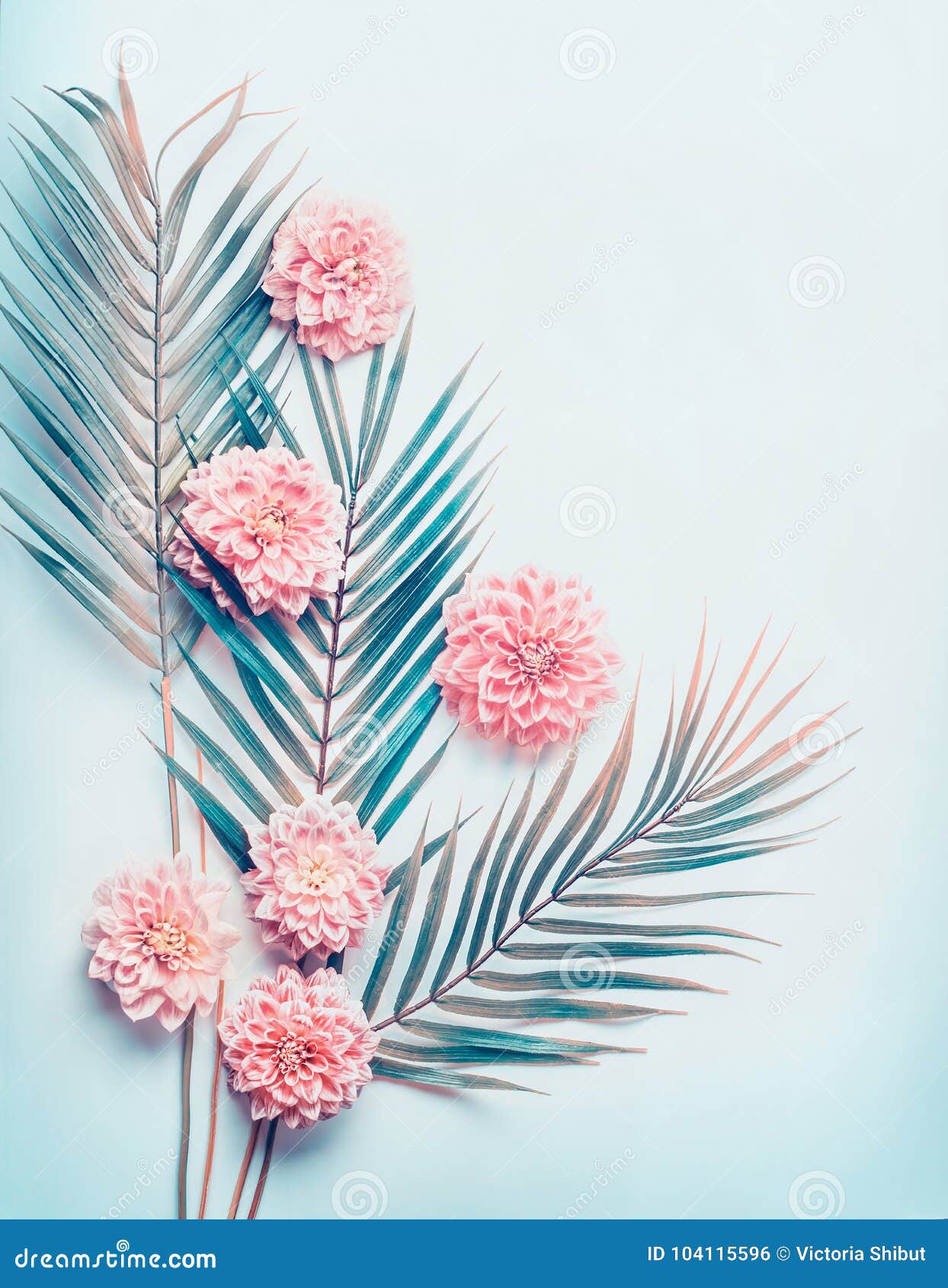 La Disposición Creativa Con Las Hojas De Palma Tropicales Y Rosa En Colores Pastel Florece En El Fondo De Escritorio De Los Azule Foto de archivo - Imagen de minimalismo, plano: 104115596 La Disposición Creativa Con Las Hojas De Palma Tropicales Y Rosa En Colores Pastel Florece En El Fondo De Escritorio De Los Azule Foto de archivo - Imagen de minimalismo, plano: 104115596