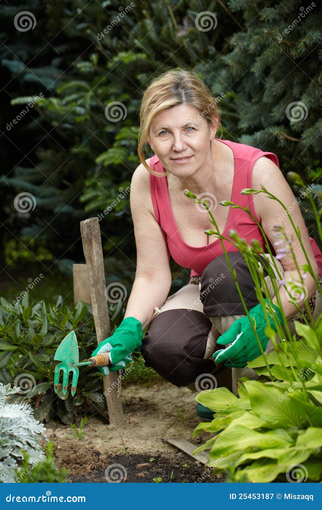 La Donna Matura Lavora Nel Suo Giardino Immagine Stock Immagine Di Signora Vita