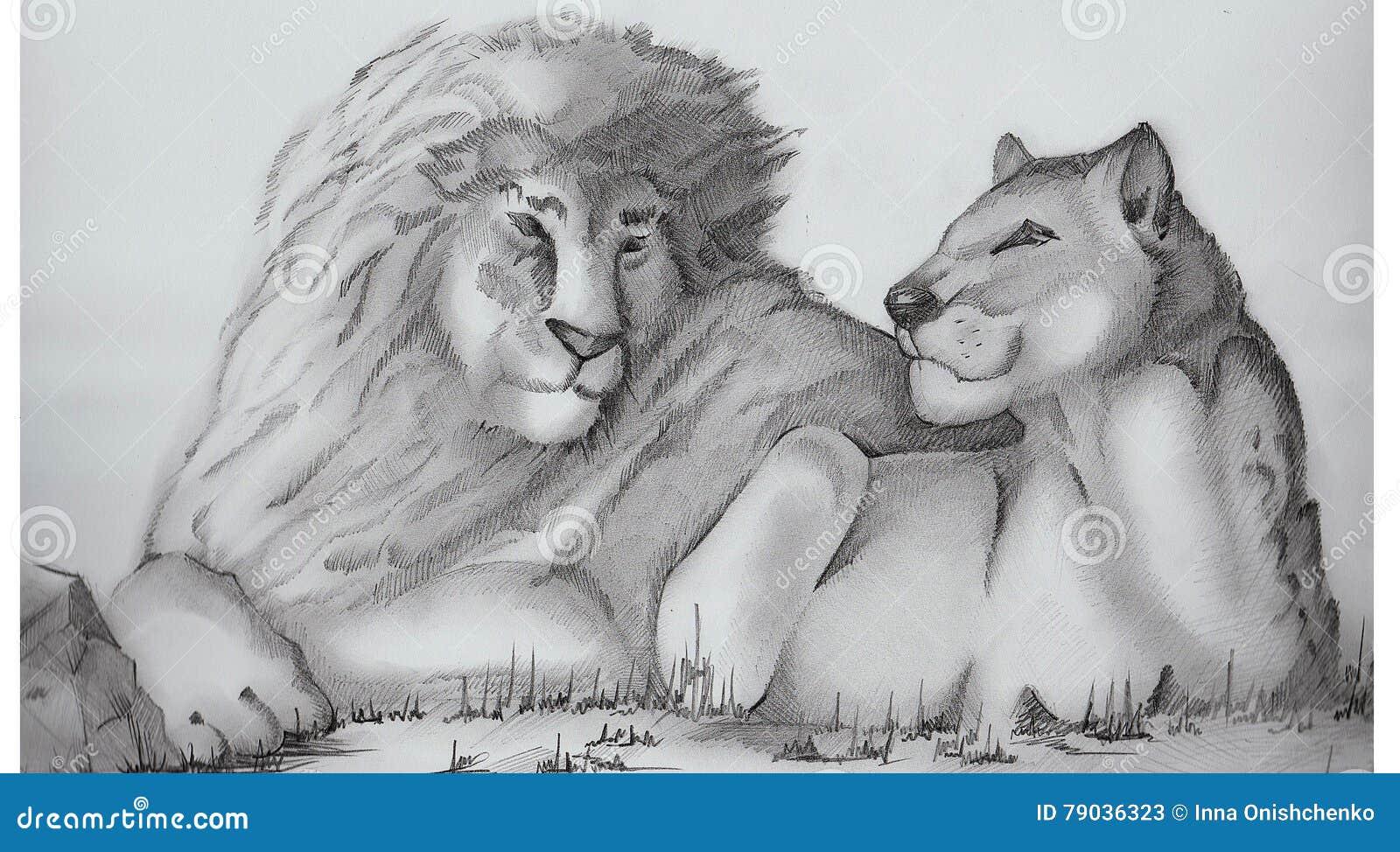 La Familia De Los Leones Gráfico De Lápiz Stock de ilustración -  Ilustración de safari, mano: 79036323