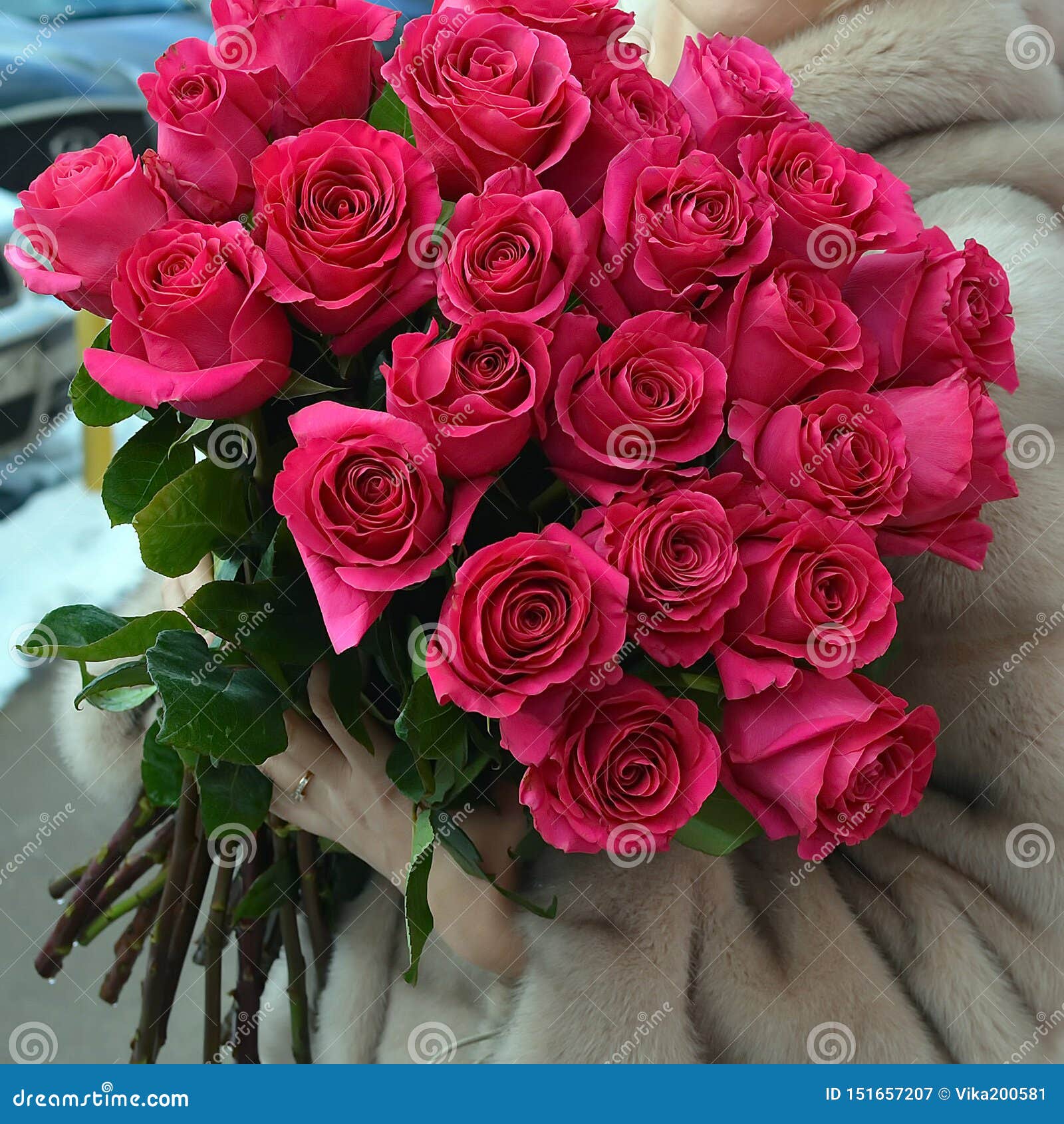 La Femme Dans Un Manteau De Fourrure Avec Un Bouquet énorme Des Roses Image  stock - Image du vert, amour: 151657207