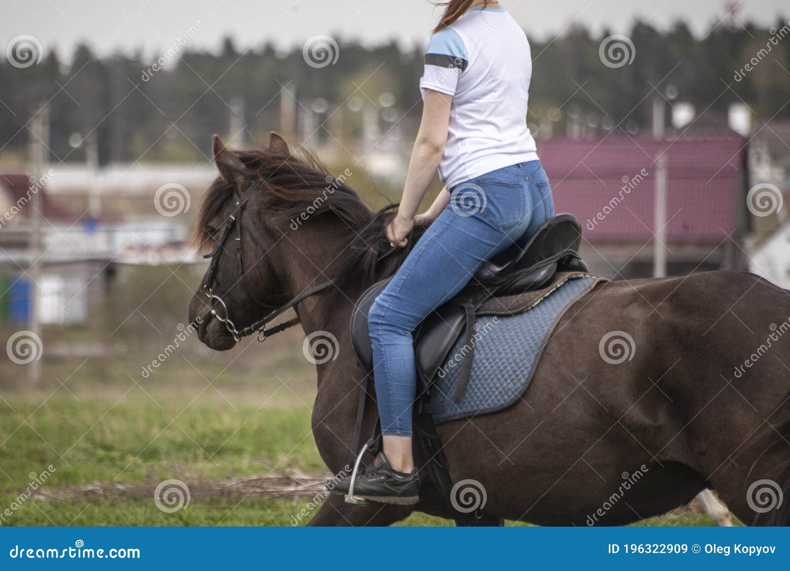 La fille monte à cheval image stock éditorial. Image du grand