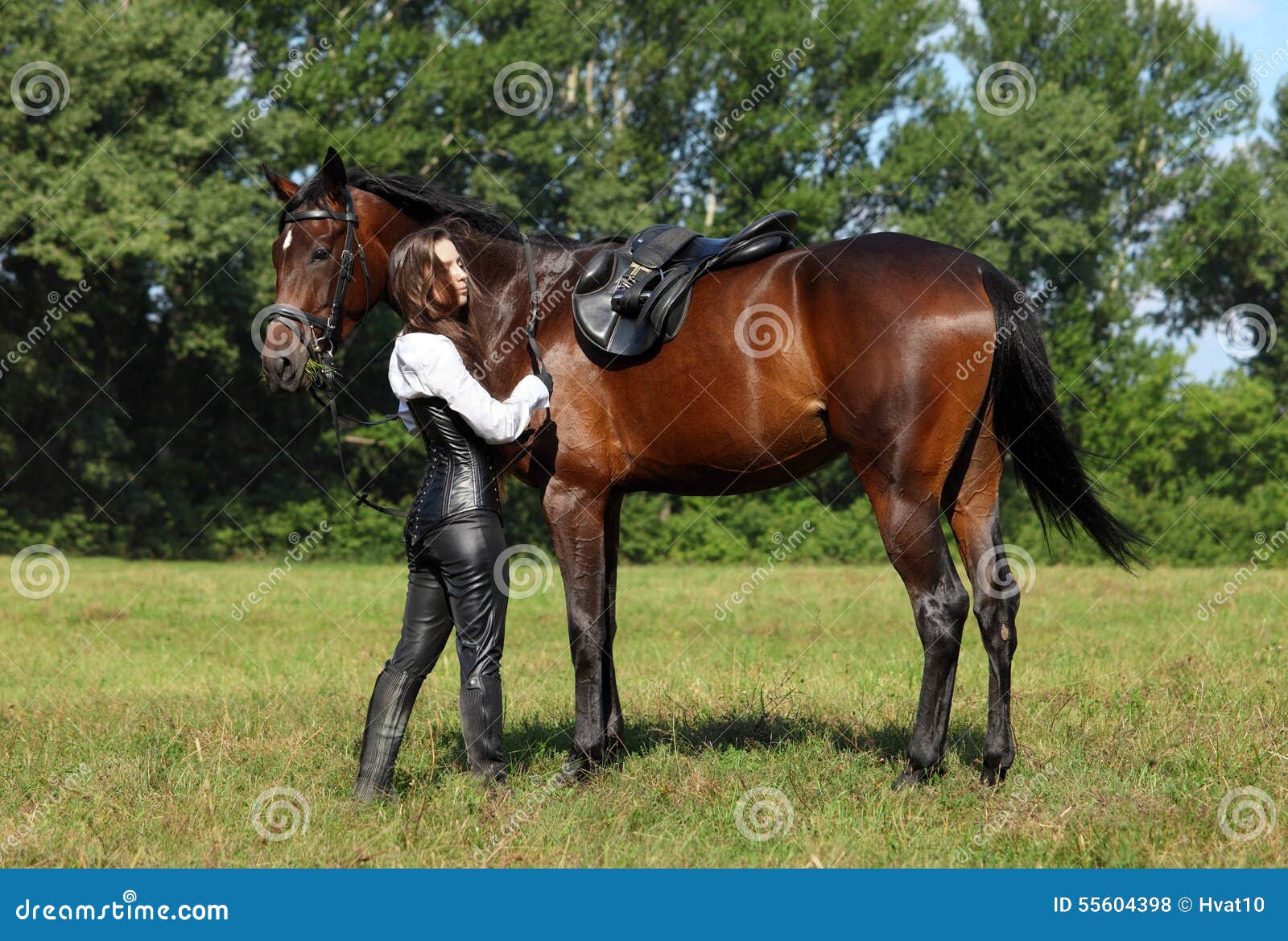 La fille selle un cheval photo stock. Image du pré, zone - 55604398