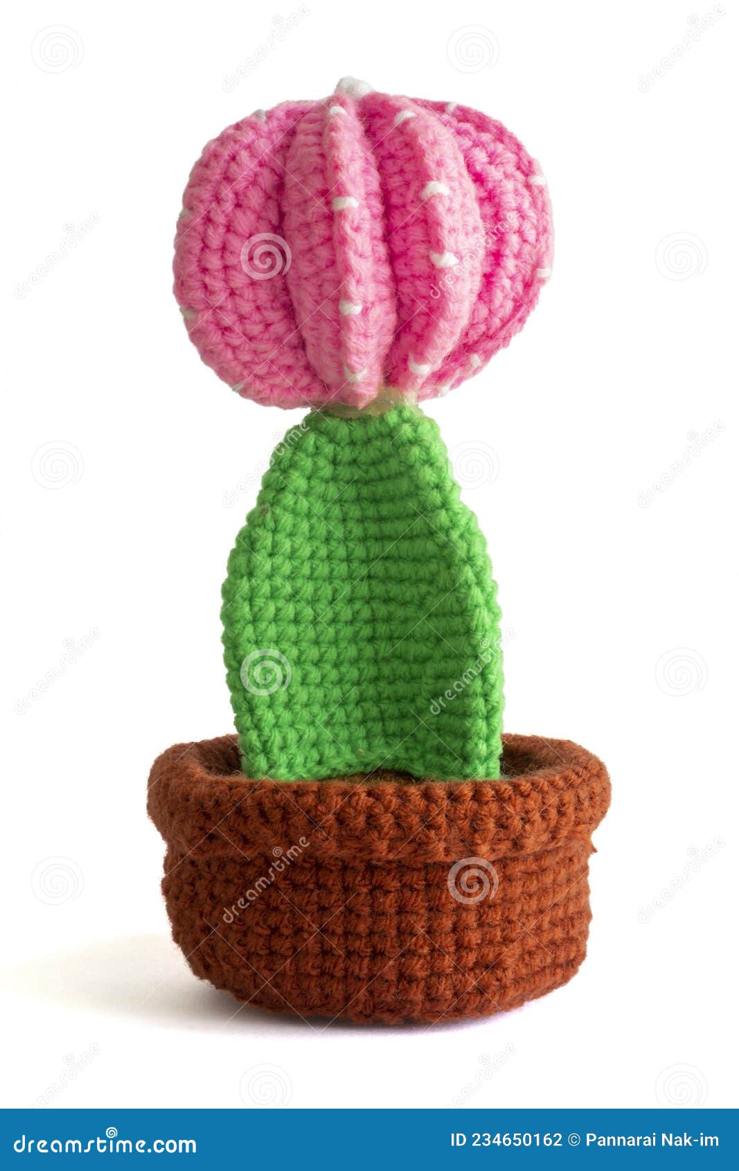 La Flor De Cactus En Olla De Hilados De Crochet Es Artesanía Para La  Decoración Y Regalo Sobre Fondo Blanco. Foto de archivo - Imagen de  colorido, cabrito: 234650162