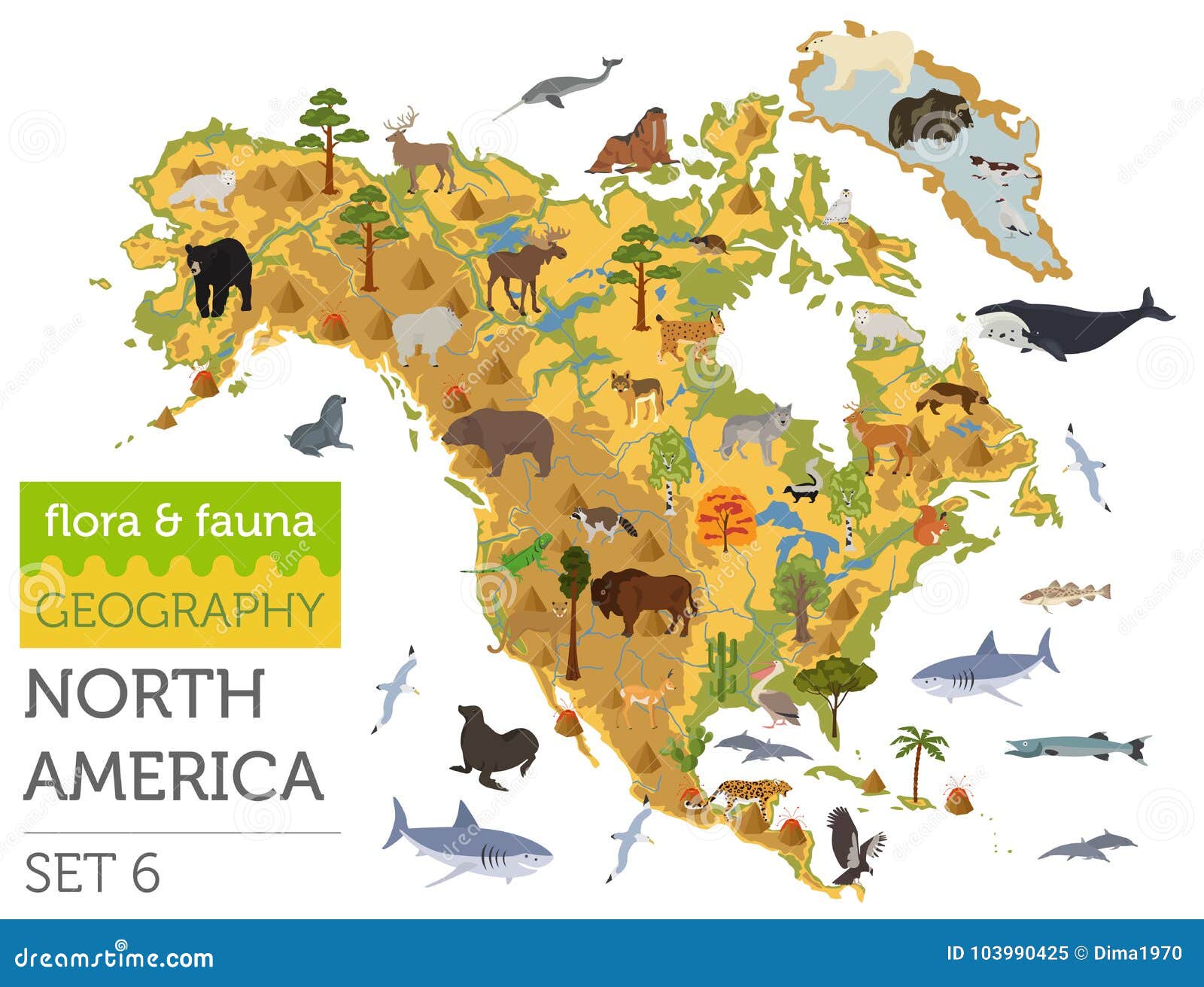 La Flora Y La Fauna De Norteamérica Trazan, Los Elementos