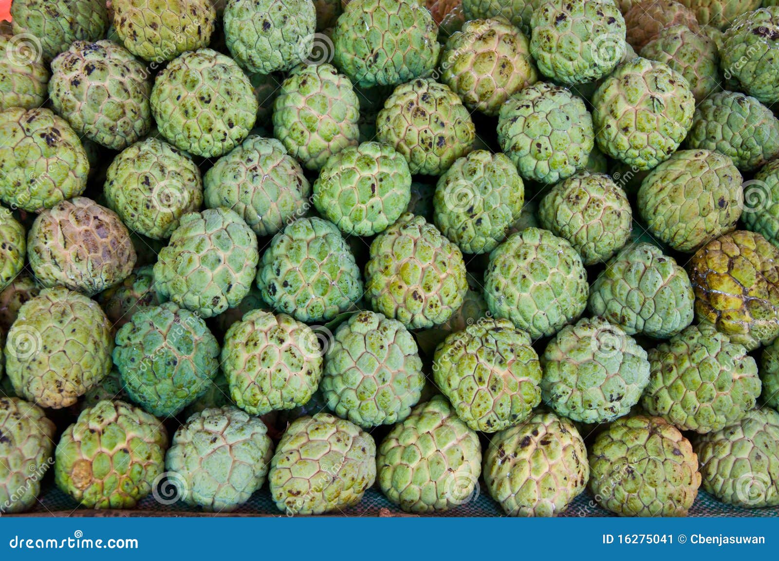 La fruta de la anona imagen de archivo. Imagen de gusto 16275041