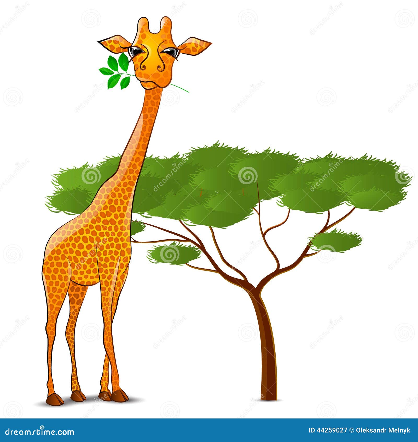 La Girafe Mangeant Des Feuilles En Afrique A Isolé Illustration Stock