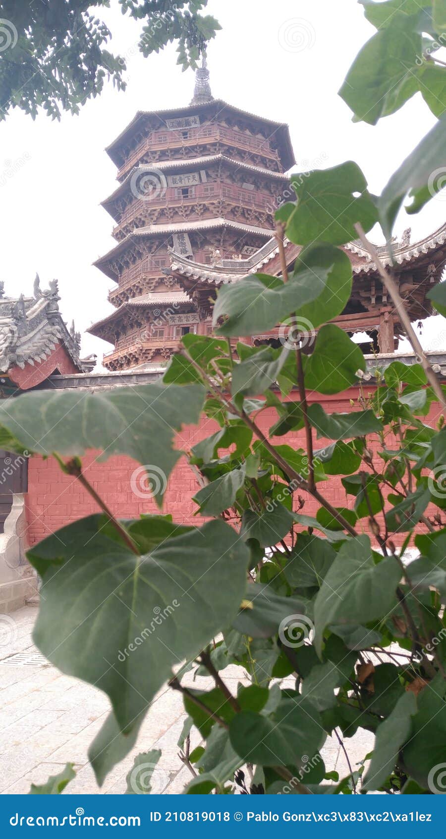 la gran pagoda en china