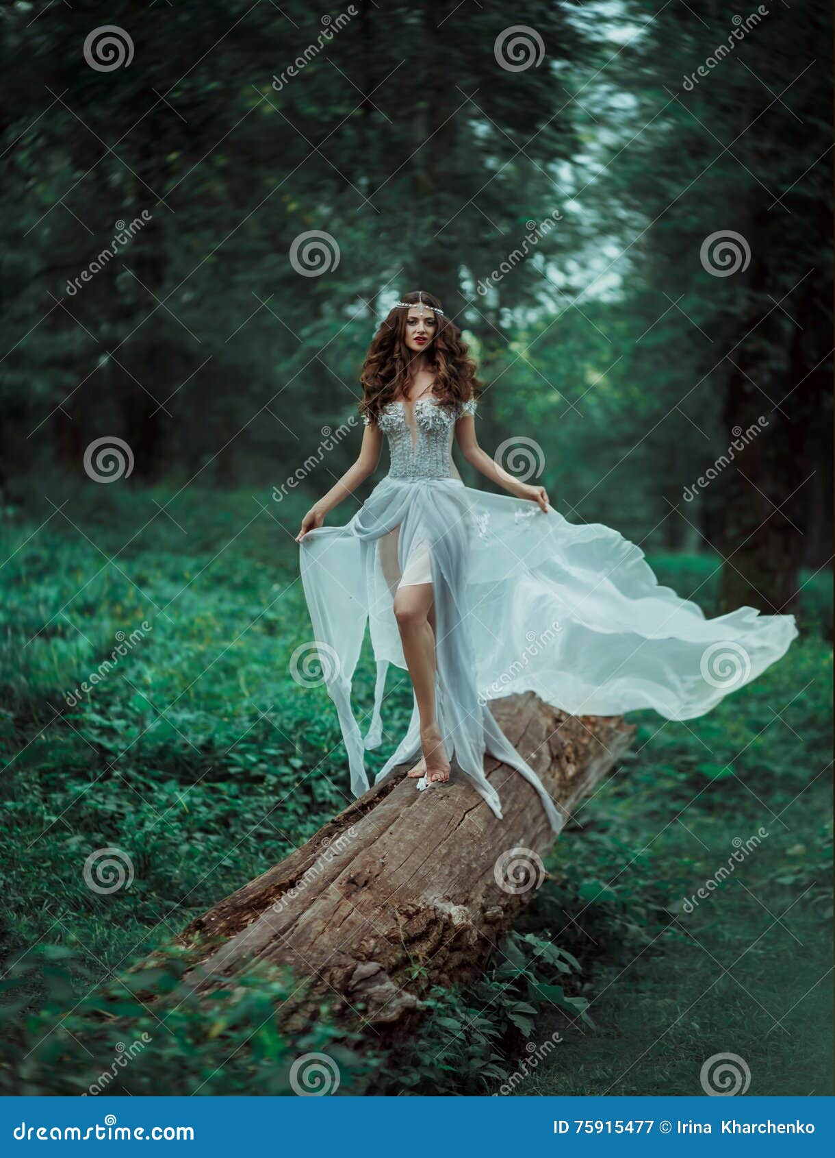 La Hada Del Bosque De La Fantasía Imagen de archivo Imagen de