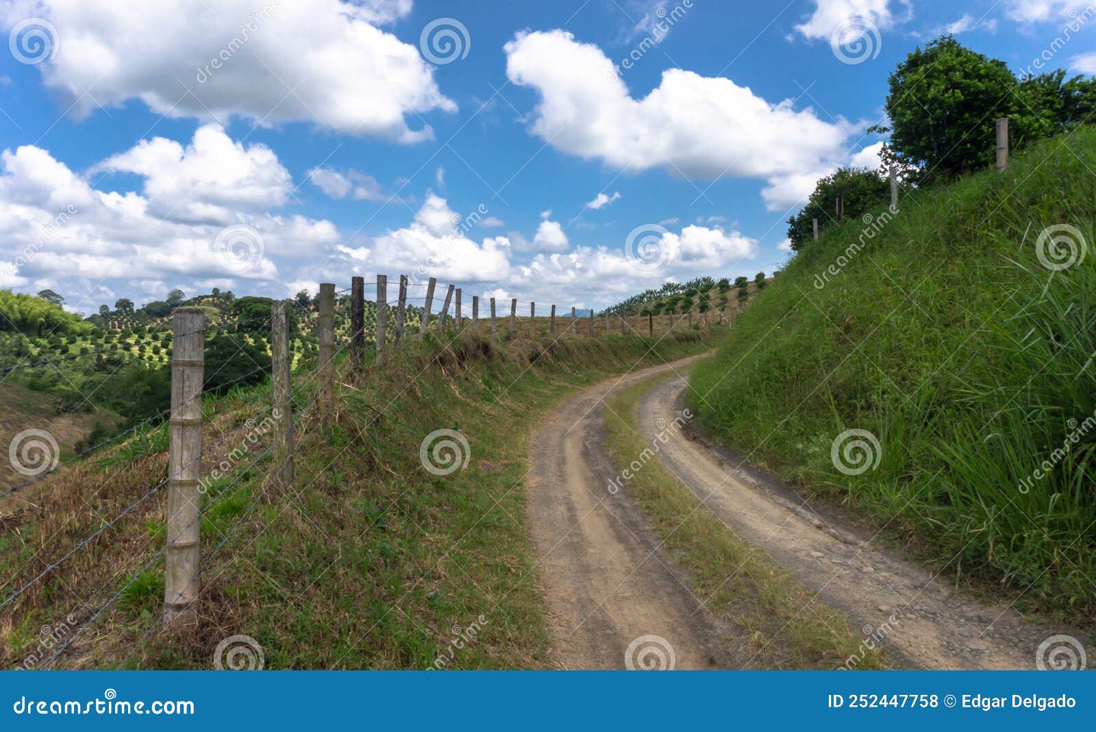 la naturaleza y el campo colombiano.