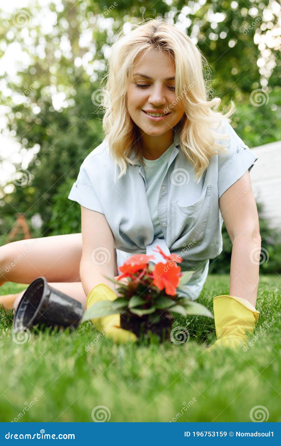 Femme Jardinier En Gants Avec Scie De Jardin Coupant Une Branche Sèche Sur  Un Pommier Avec
