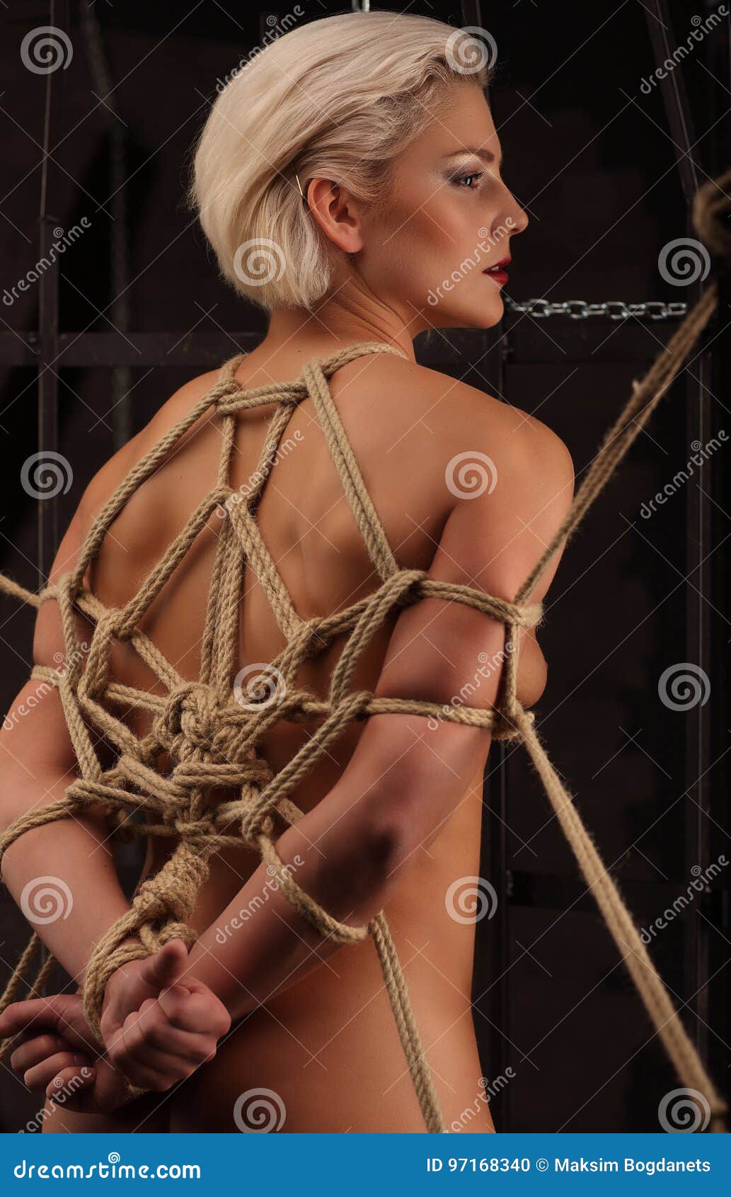 La Limite De Femme Avec Une Corde Dans Le Shibari Japonais De Technique  Regarde Le Goût Photo stock - Image du dame, adulte: 97168340